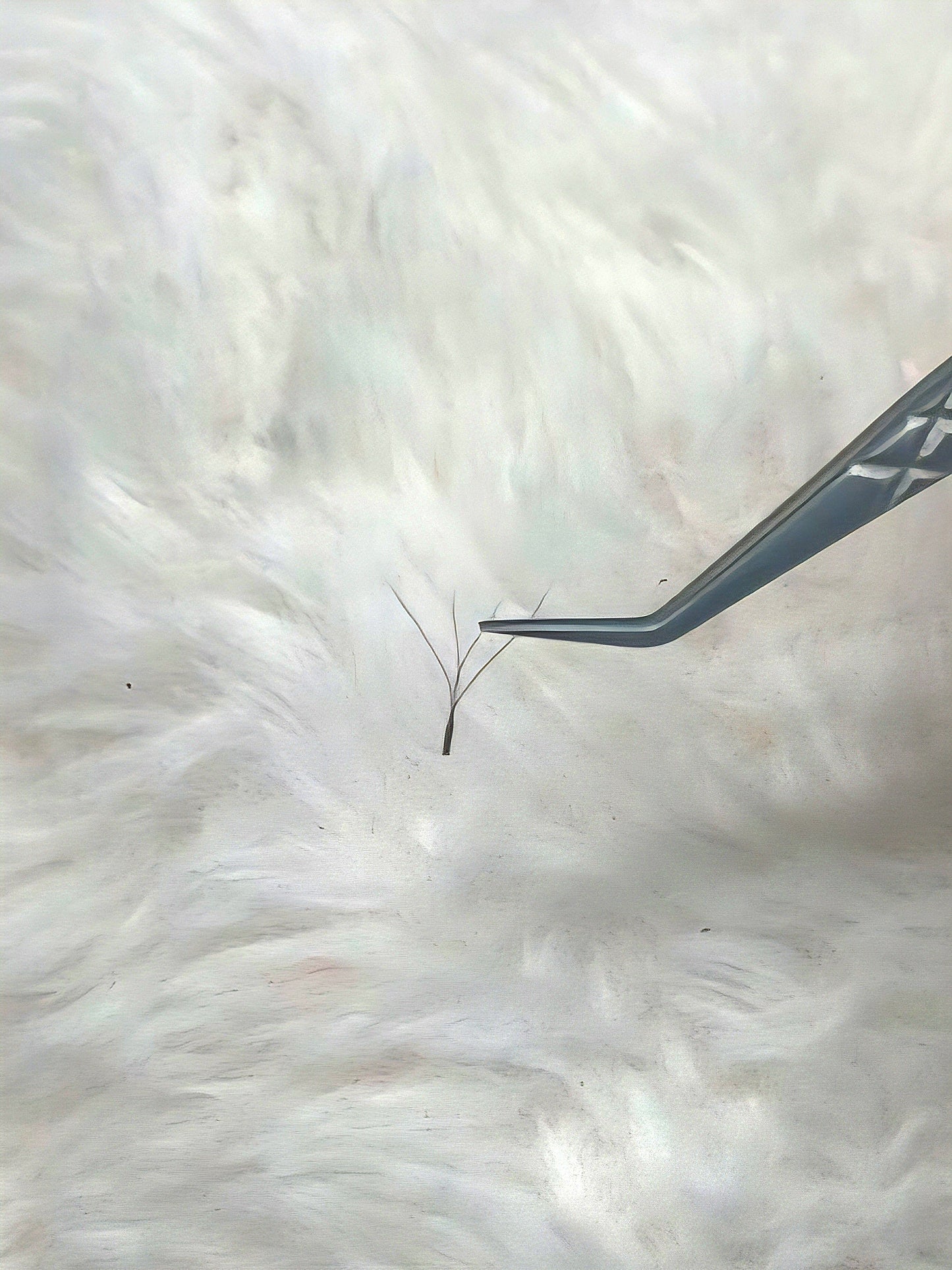 π€ Brown 4D Clover Lashes π€ 16 Rows β’ Single Length