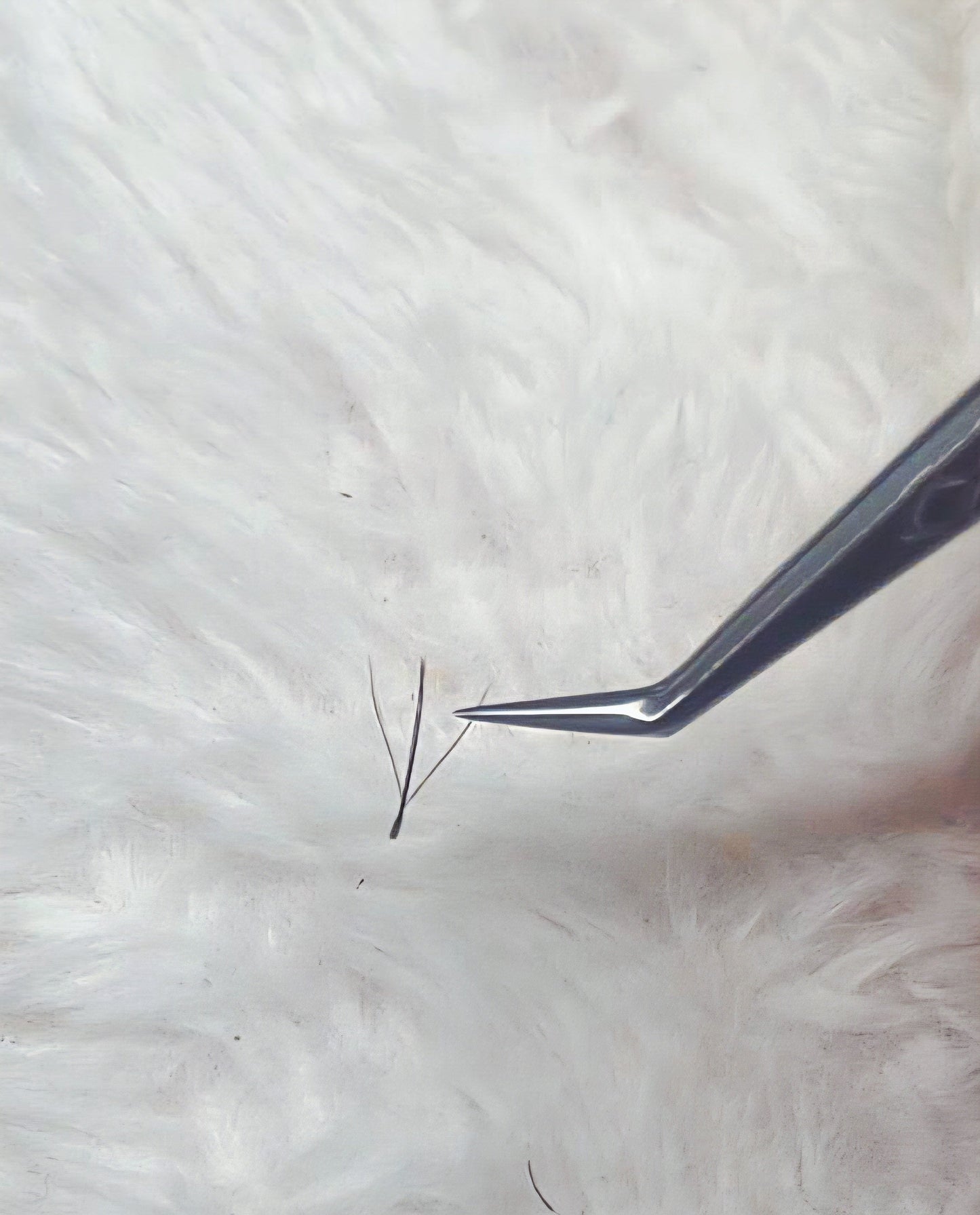 ✨ New Fairy Lashes ✨ Single Length • Delicate & Dreamy