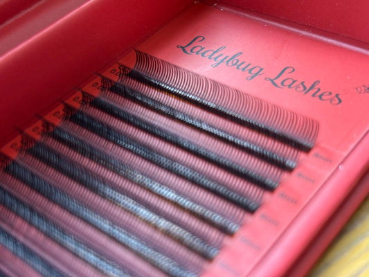 Pre-Made Angel Lash Fans – Mixed Lengths Tray