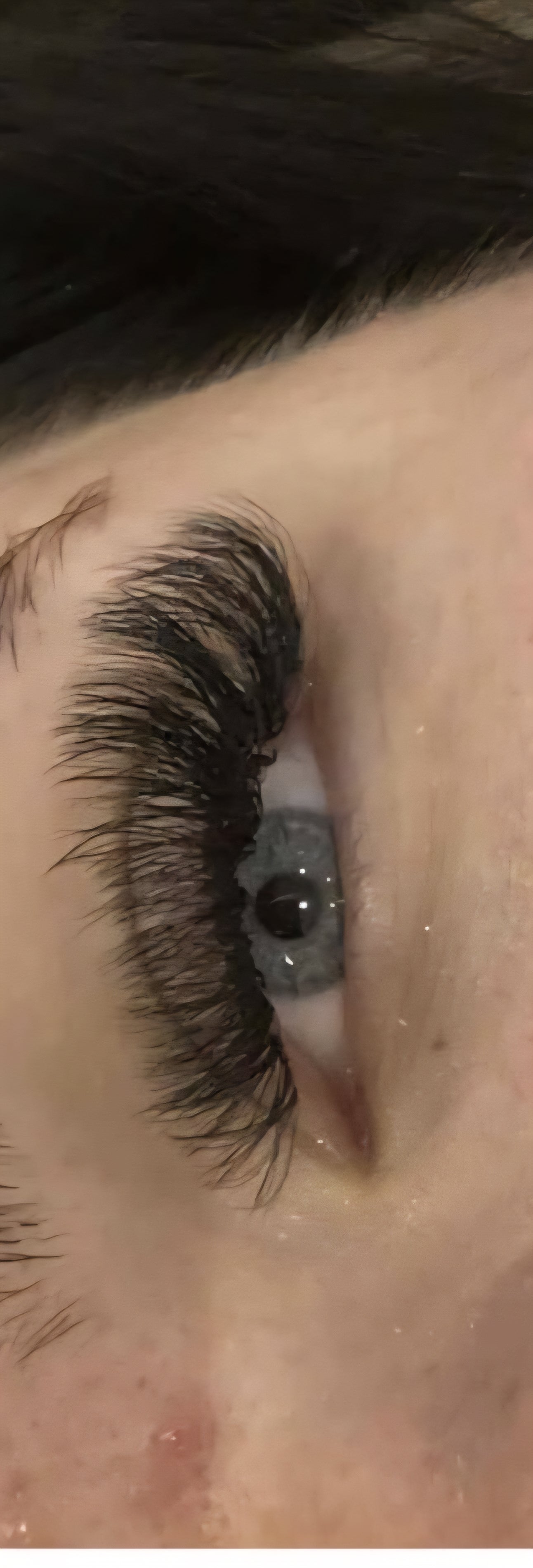 10D Clover Lashes Single Length