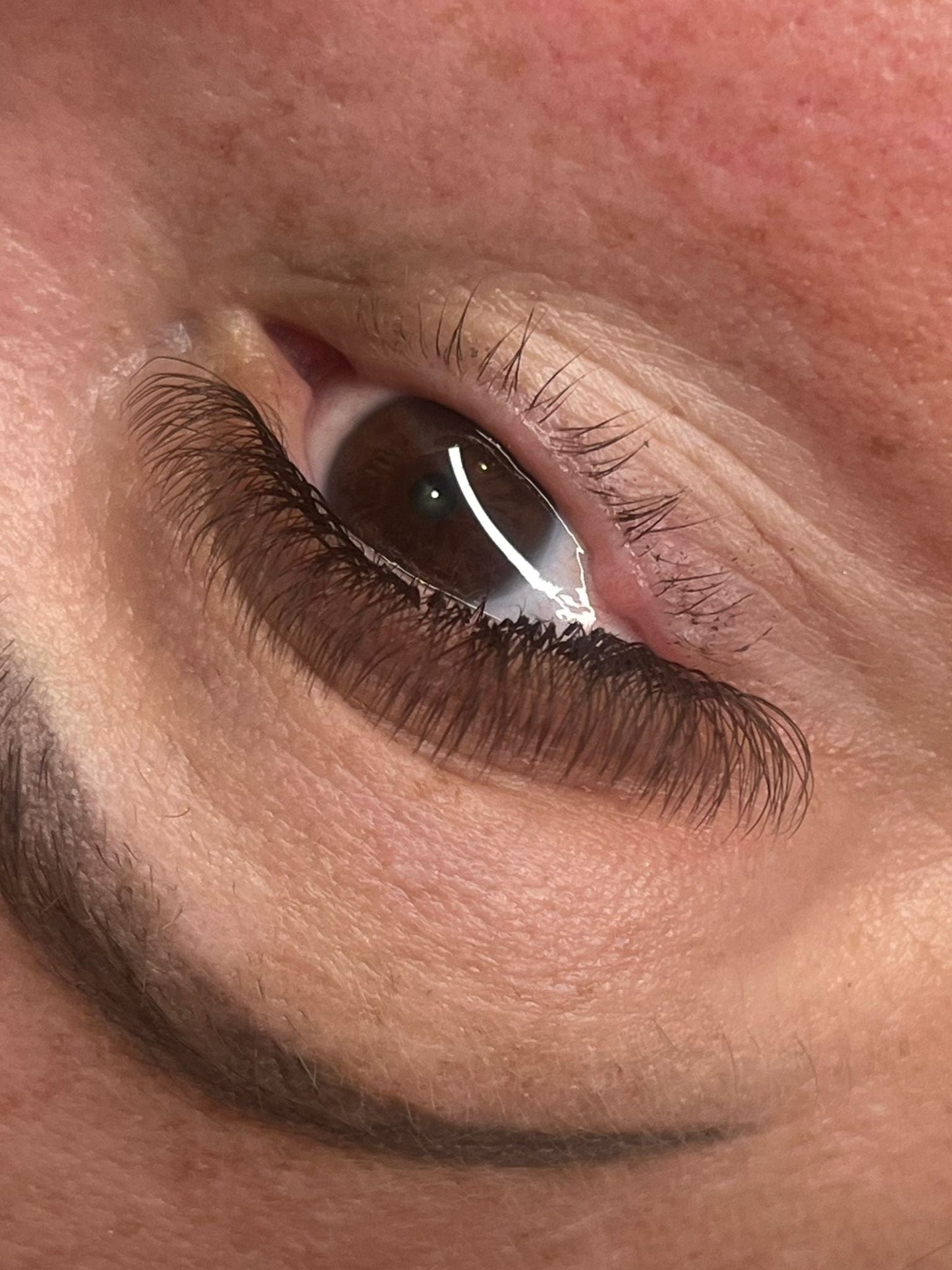 π€ Brown 4D Clover Lashes π€ 16 Rows β’ Single Length