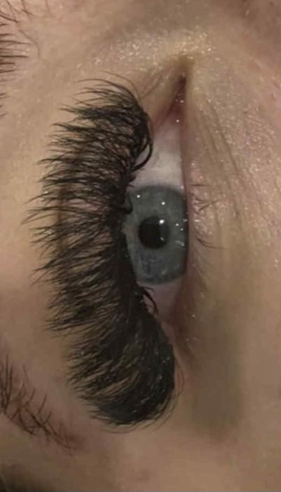 10D Clover Lashes Single Length