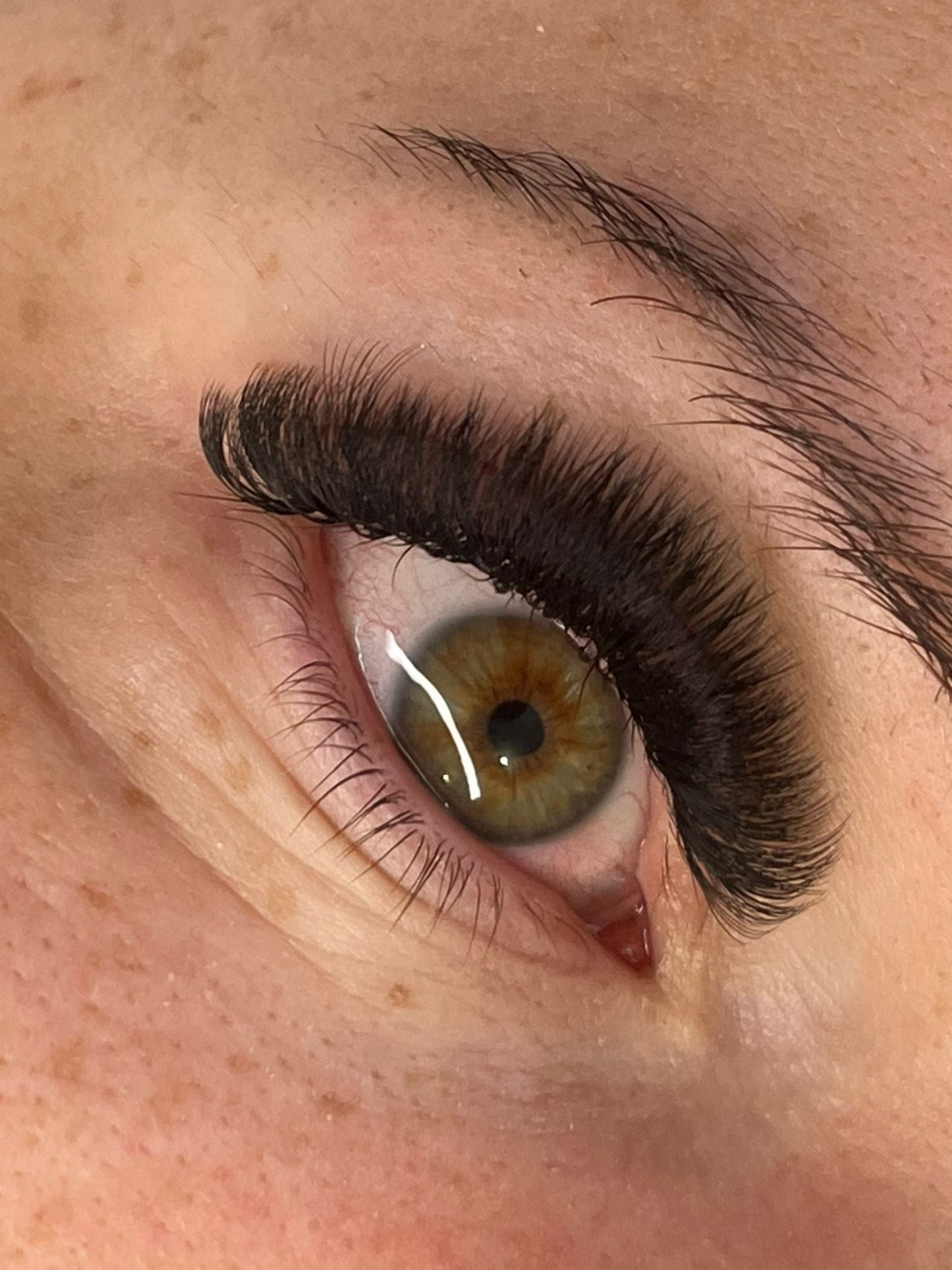 Platinum Promade Tray – Ultra-Black Premade Fans