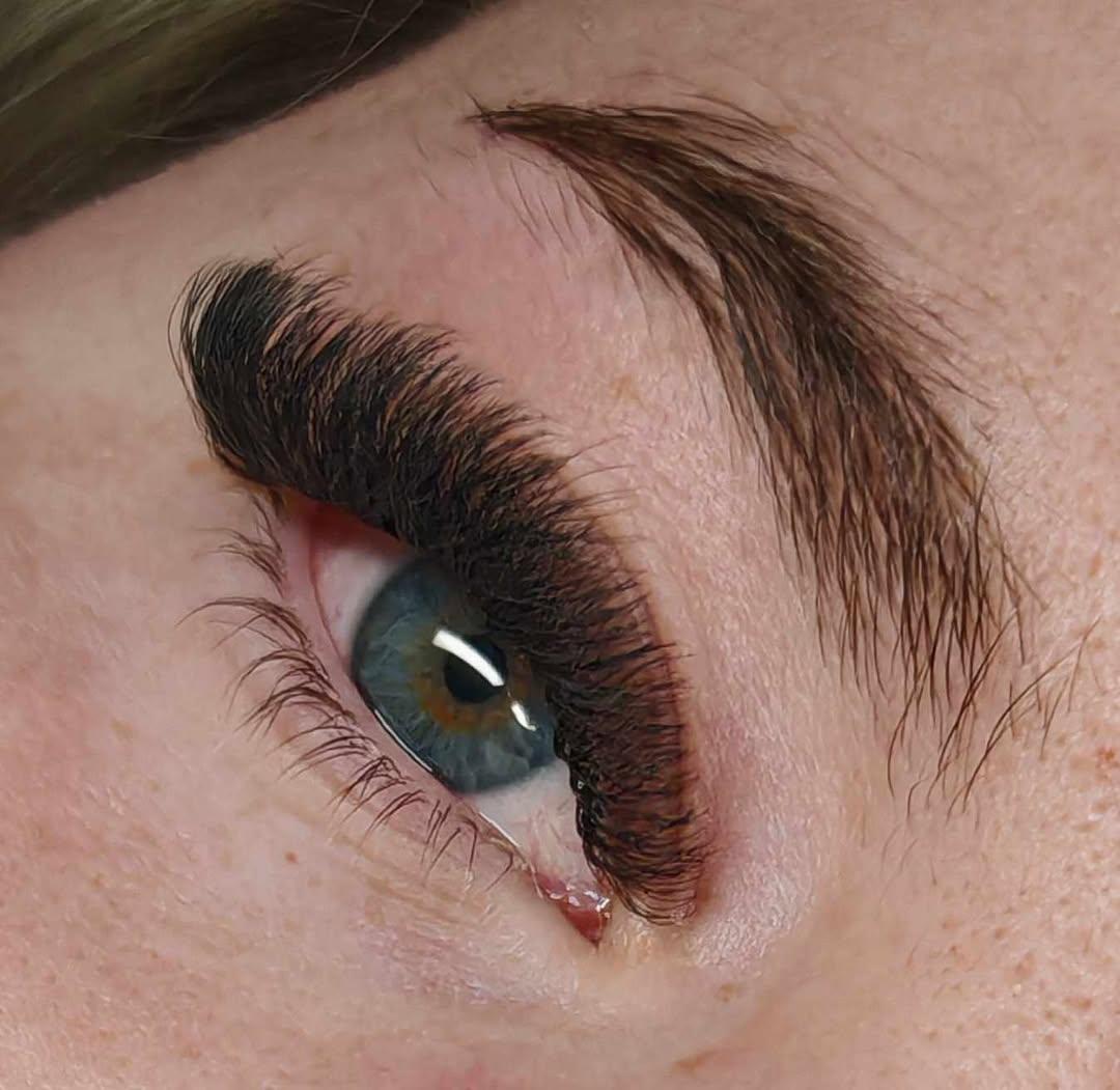 8D Clover Lash Tray Single Lengths