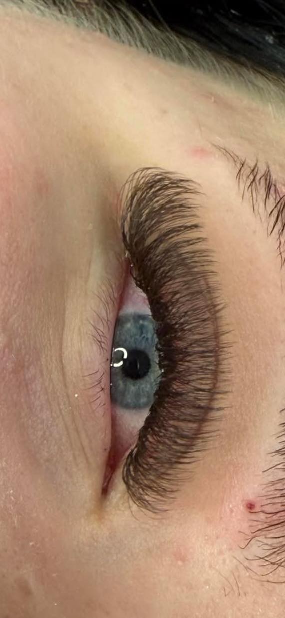 π€ Brown 6D Clover Lashes π€ 16 Rows β’ Single Length