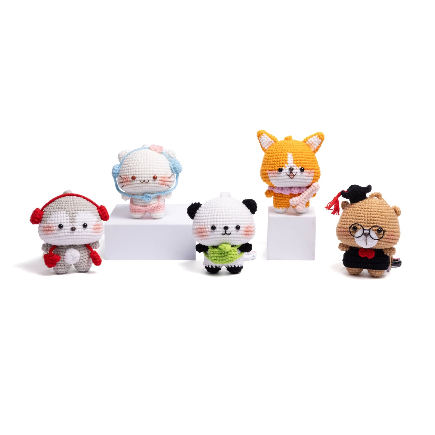 Study Group Animal Friends Collection