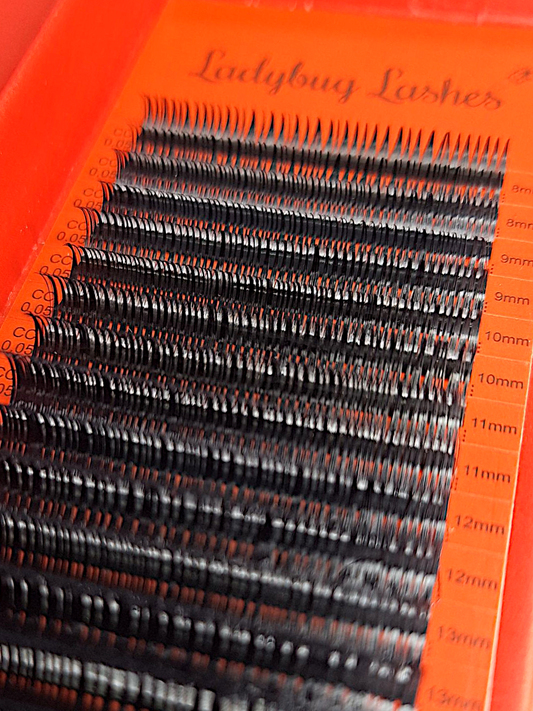 Wet Look Lash Tray – Mixed Lengths, 16 Rows