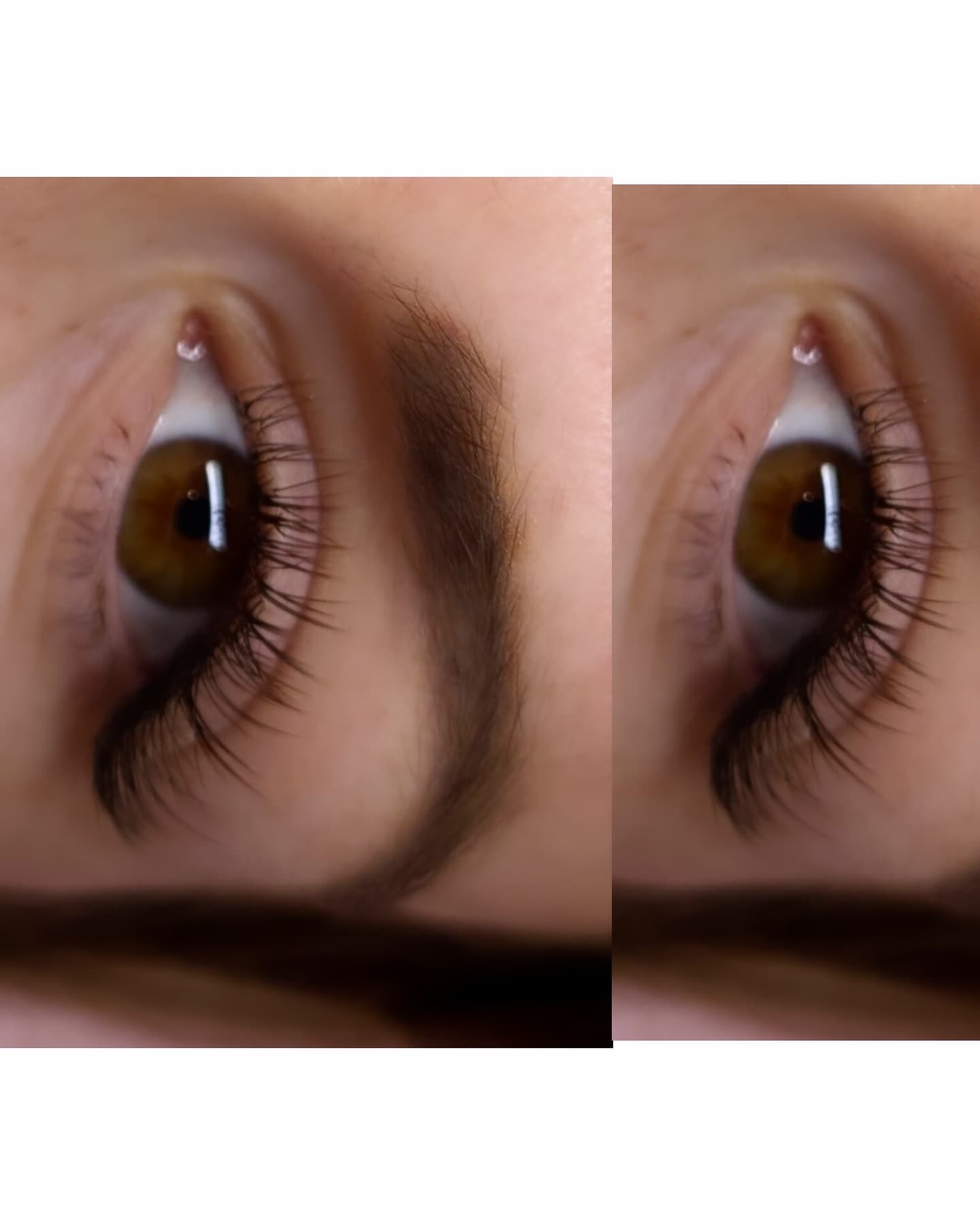 Cashmere Flat Classics β 16 Row Mixed Tray in Brown π€π€ or Caramel π€π€