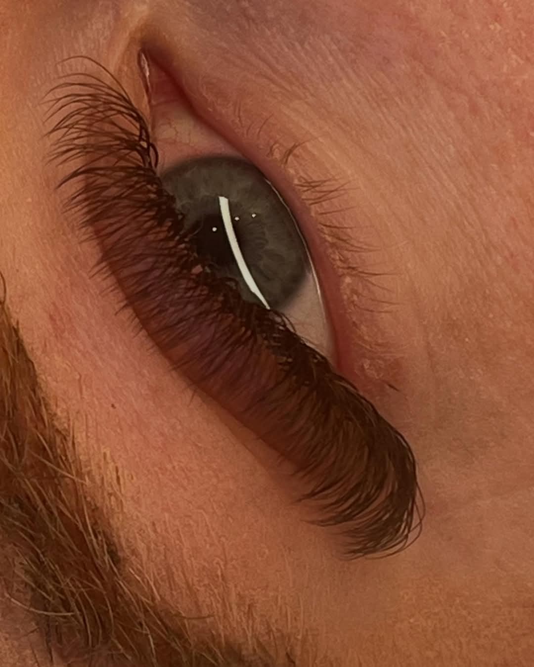 π€ Brown 4D Clover Lashes π€ 16 Rows β’ Single Length