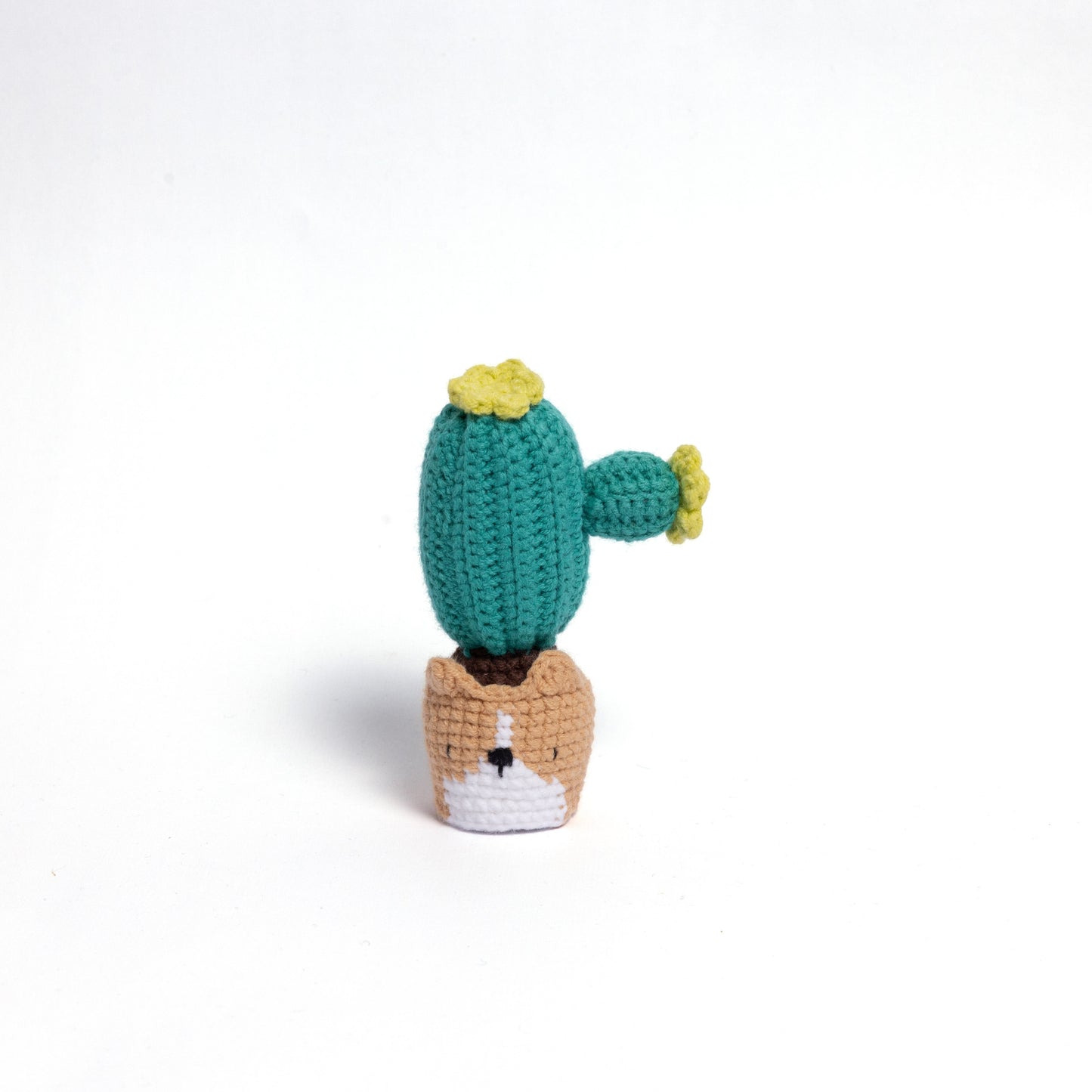 NEW members join Cactus Family!