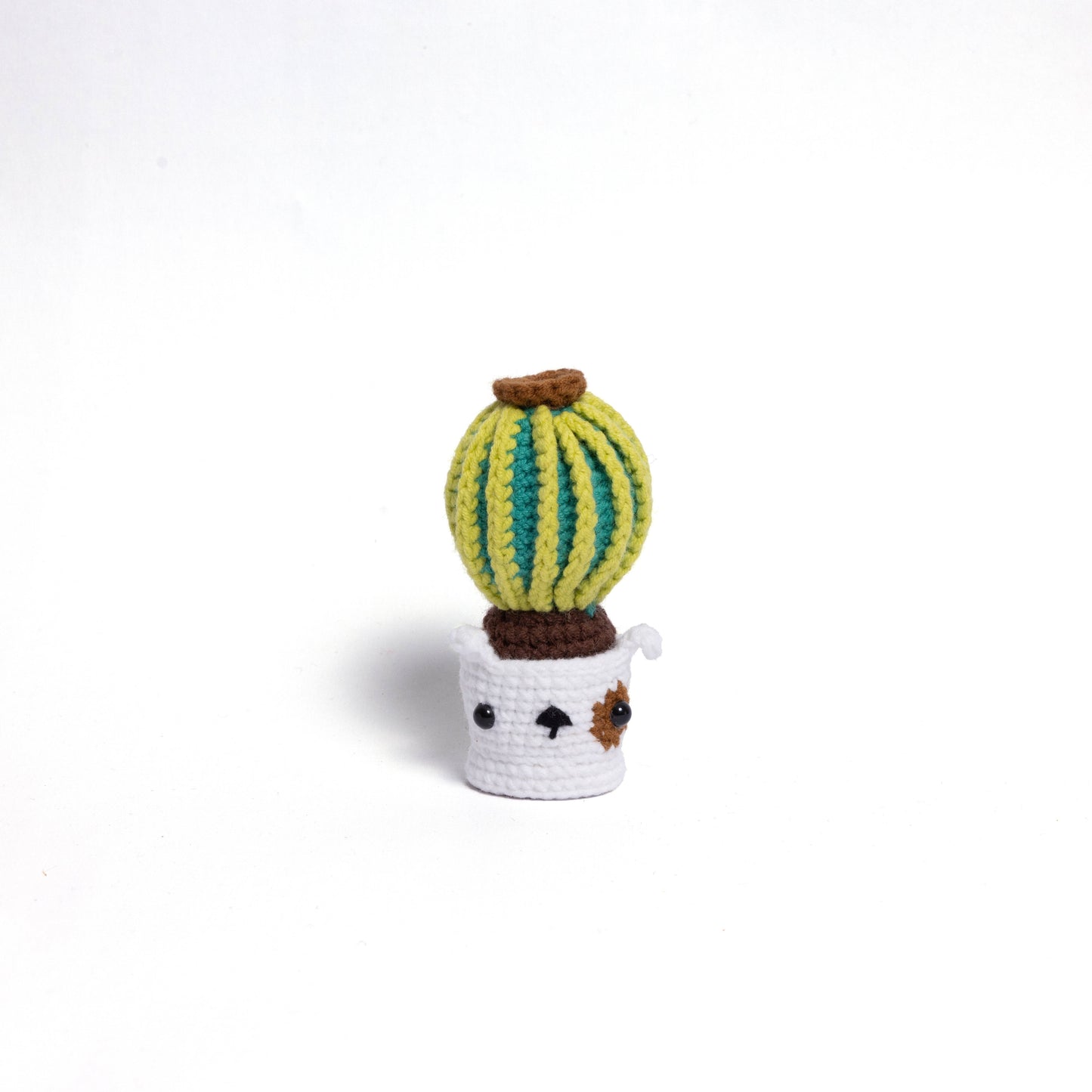 NEW members join Cactus Family!