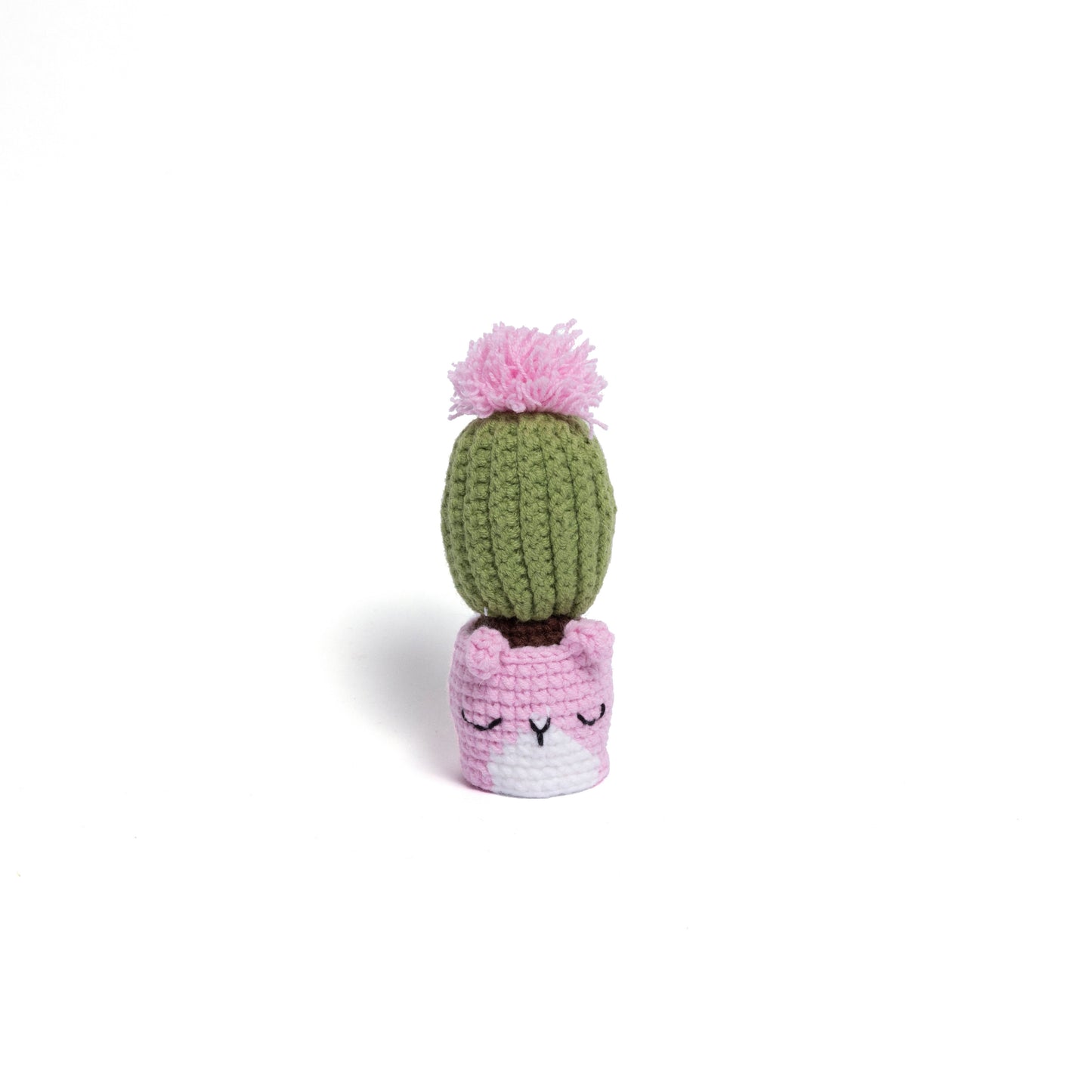 NEW members join Cactus Family!