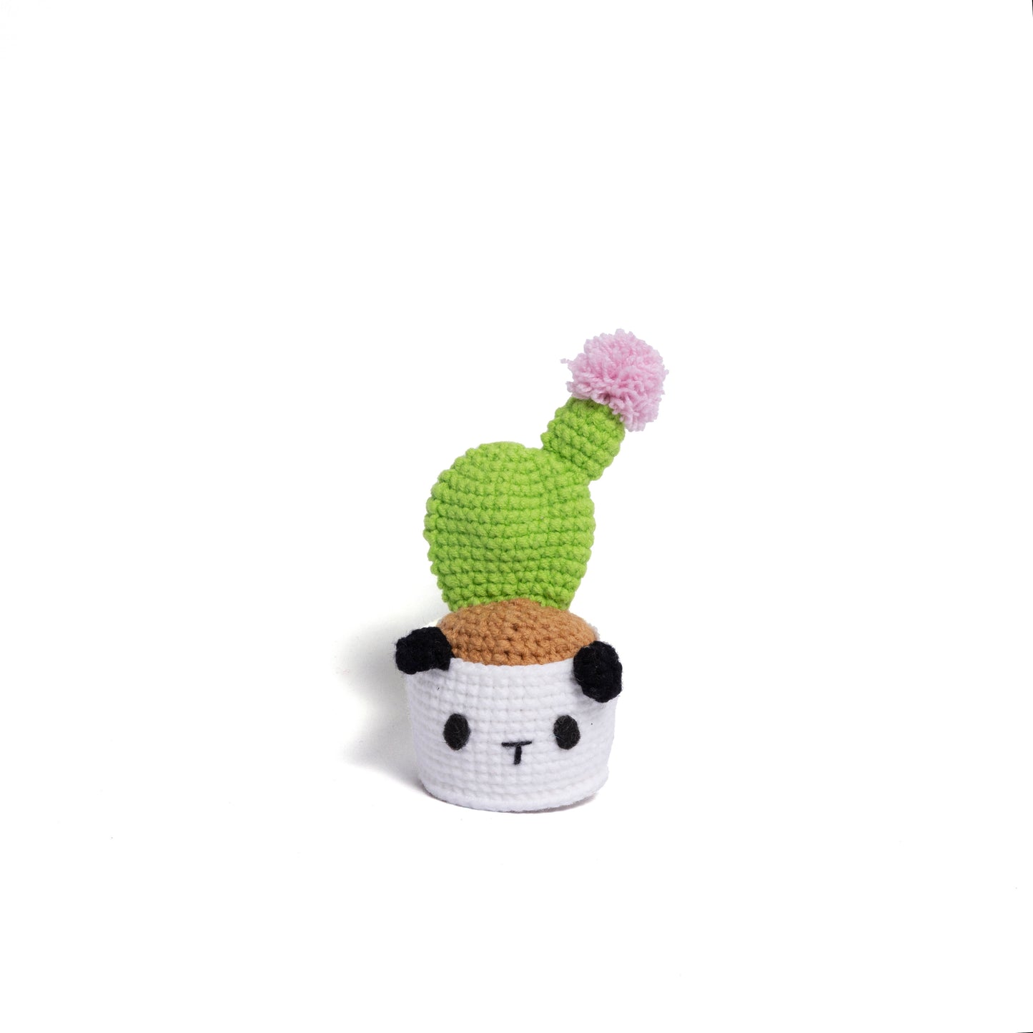 NEW members join Cactus Family!