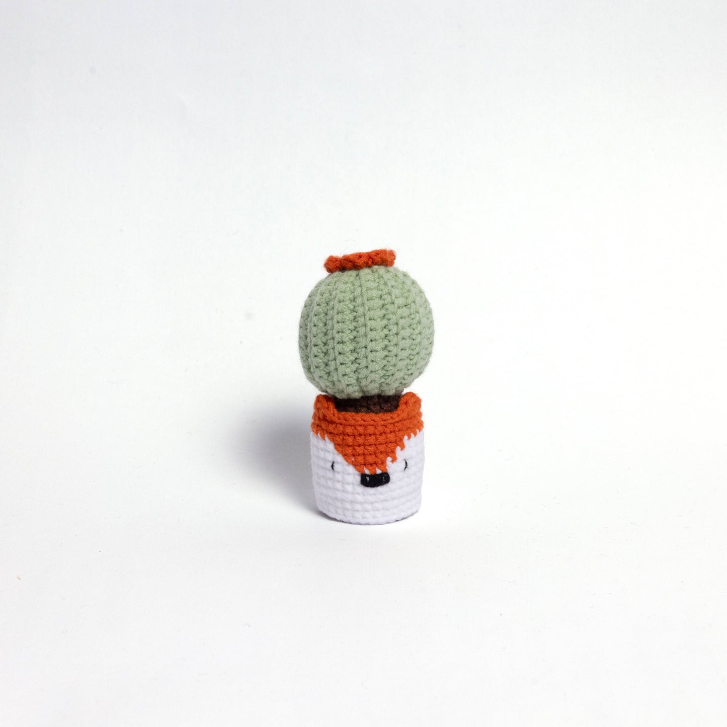 NEW members join Cactus Family!