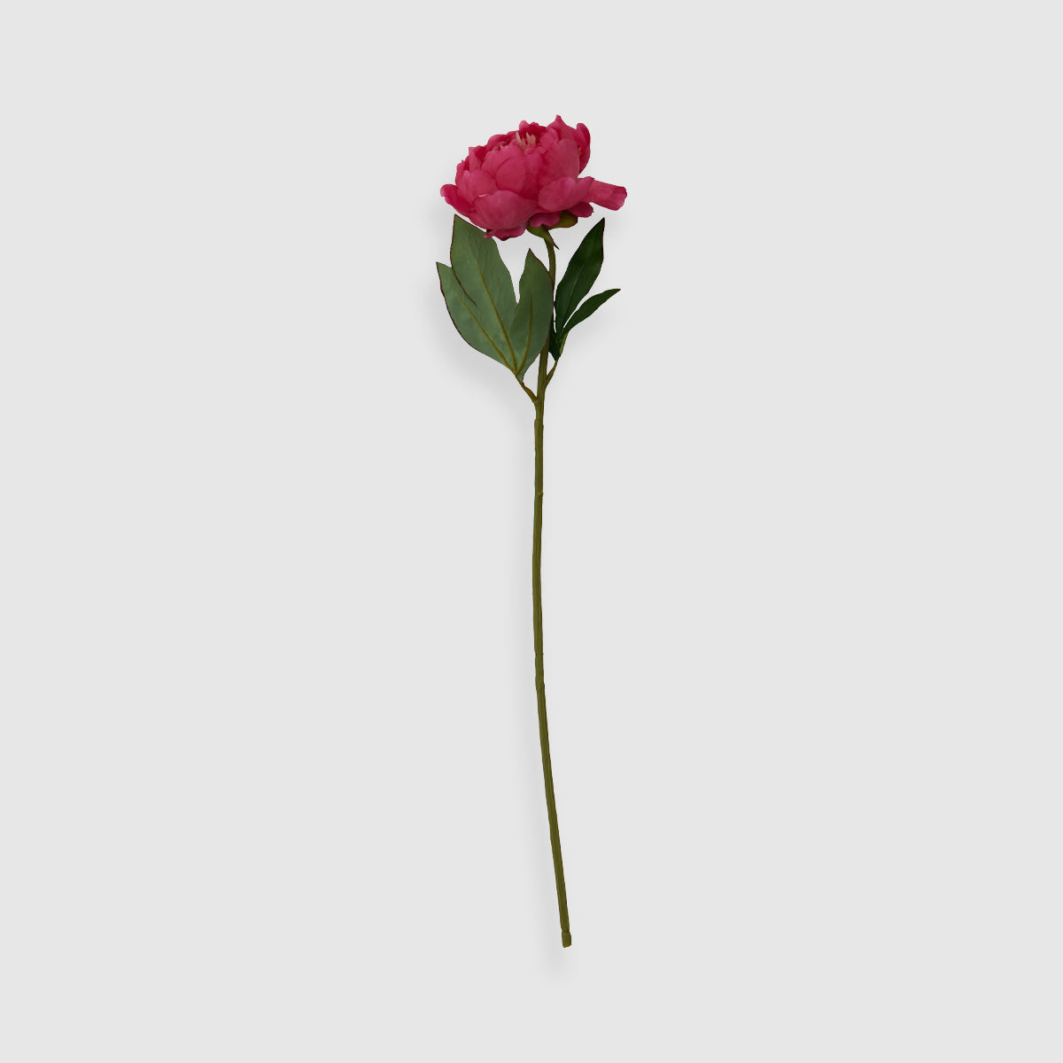 Fiori 65cm Peony Fuchsia Stem