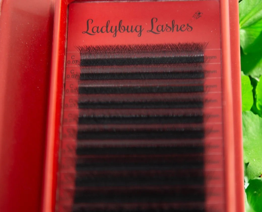 4D Clover Lashes – Mixed Tray (16 Rows)