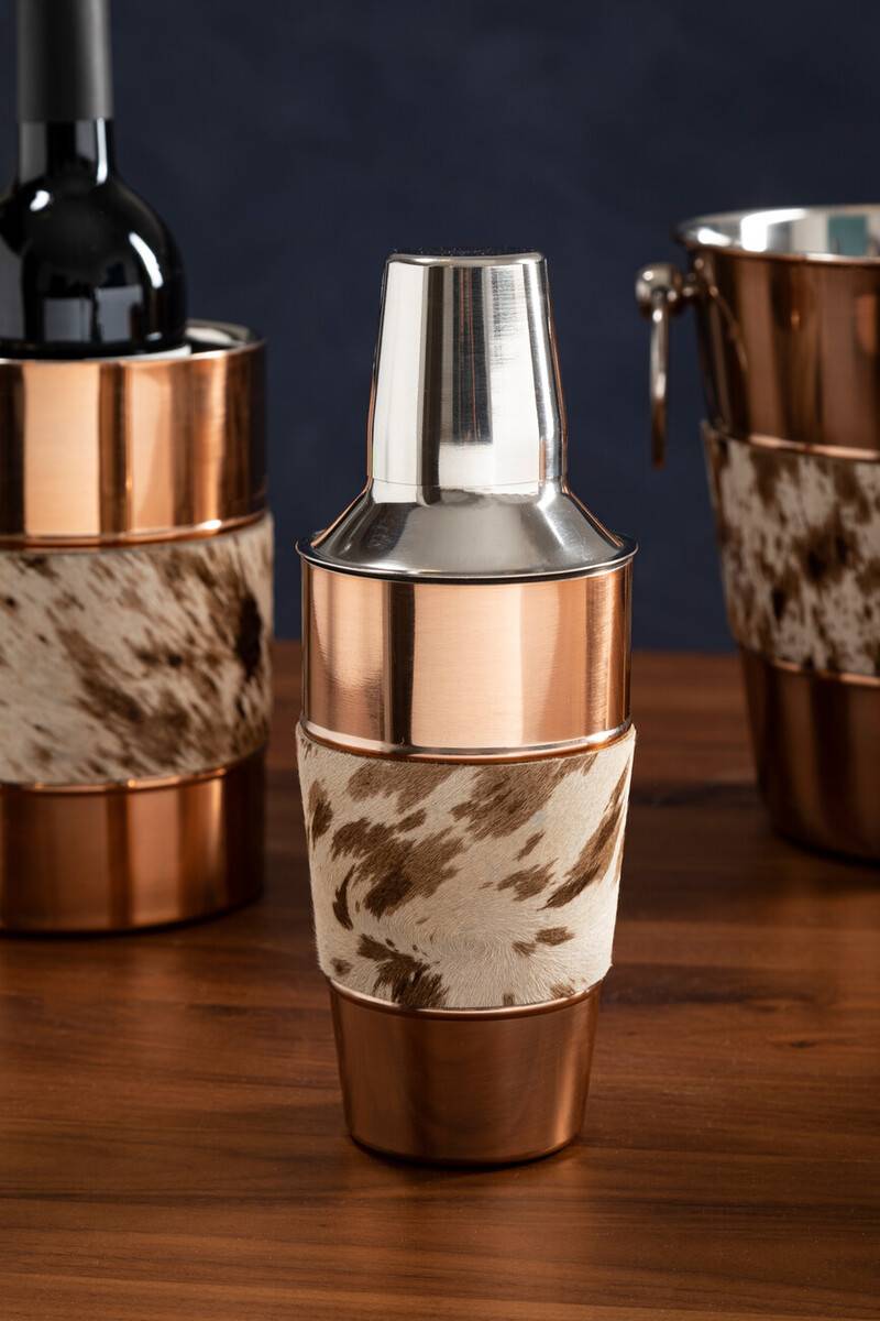 Albany Cocktail Shaker