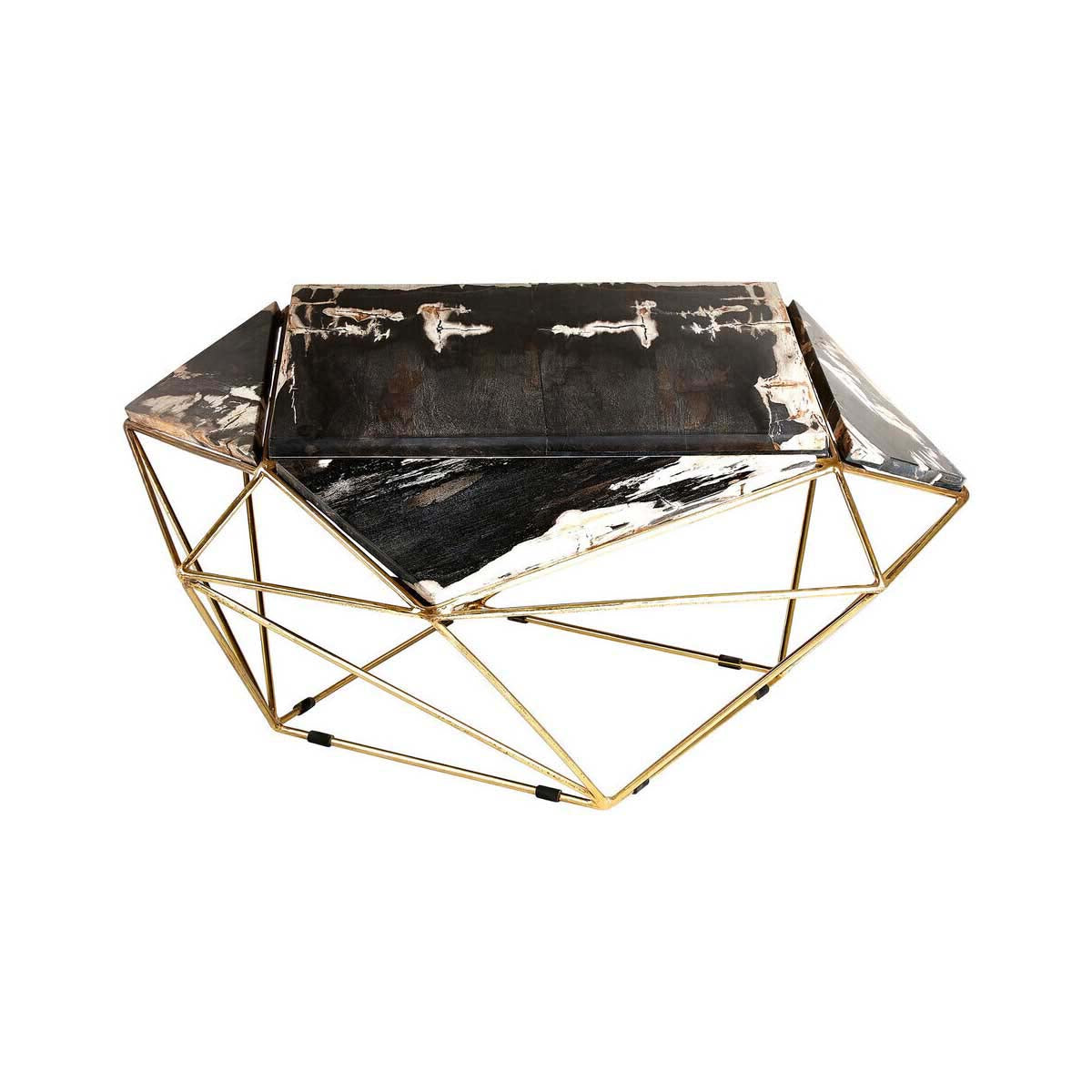 Relic Dark Petrified Wood Coffee Table