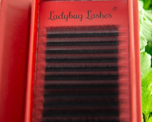 6D Clover Lashes – Mixed Tray (16 Rows)