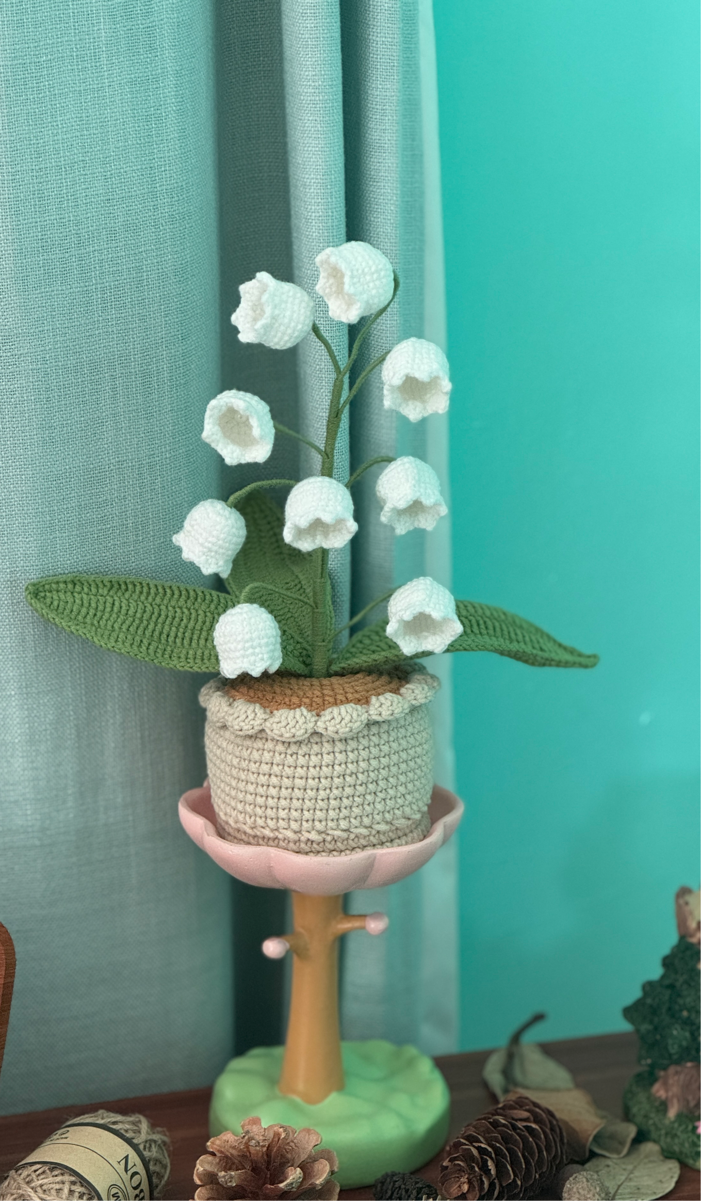 XXL Pot Plants : Larger the size, Bigger the smile