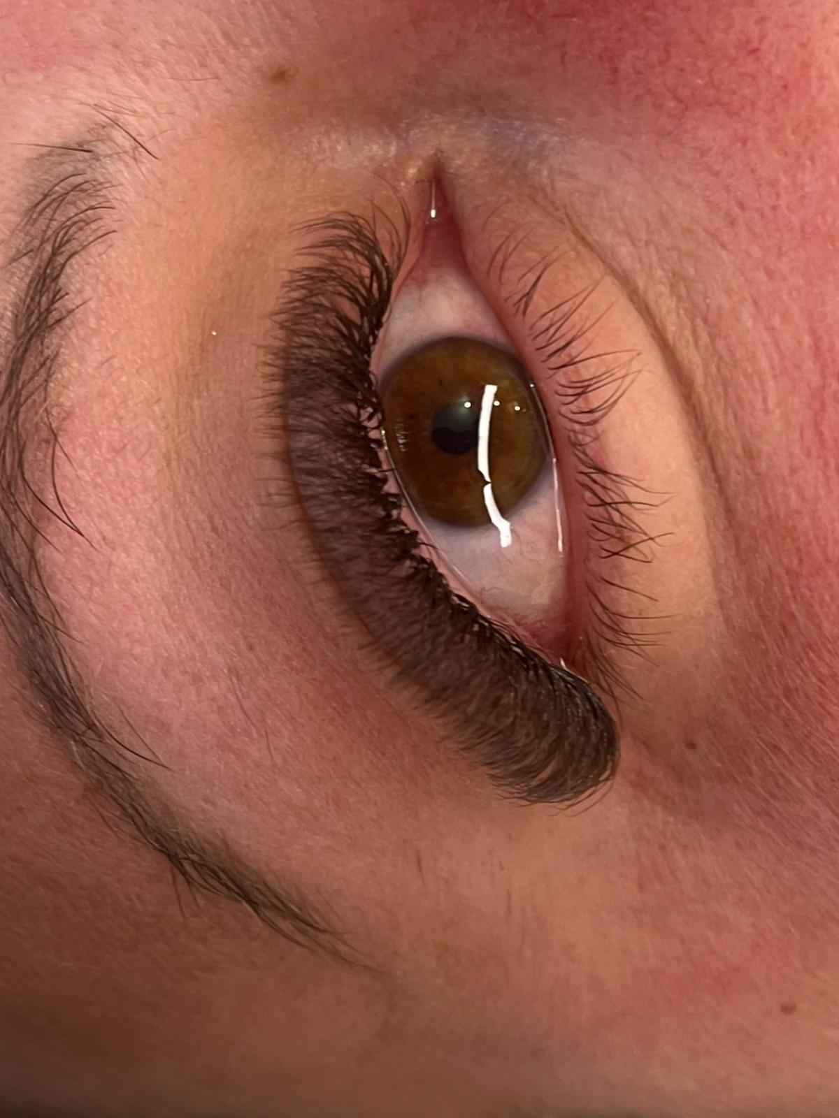 🤎 Brown 6D Clover Lash Extensions – Mixed Lengths, 16 Rows 🤎