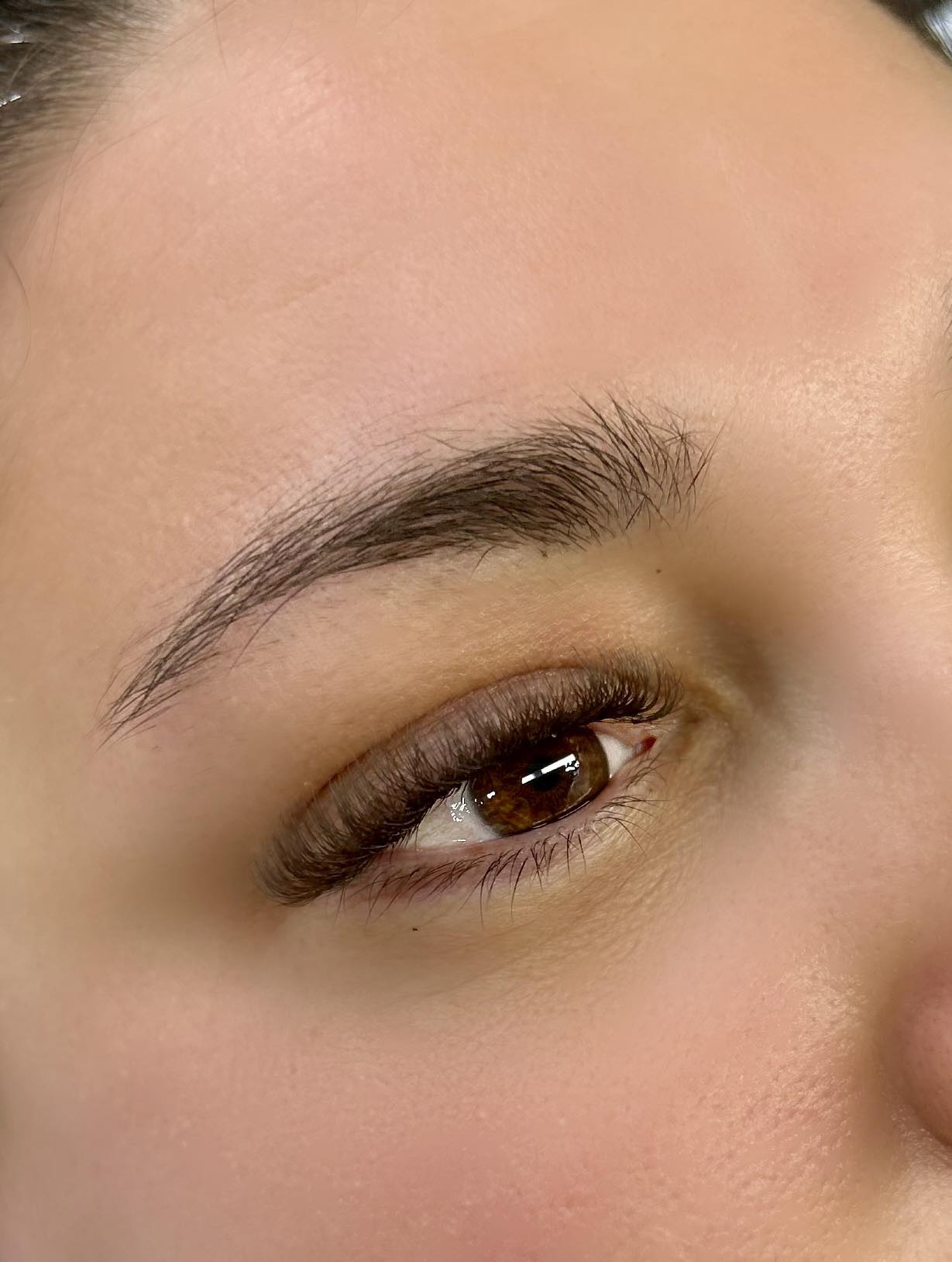 🤎 Brown 6D Clover Lash Extensions – Mixed Lengths, 16 Rows 🤎