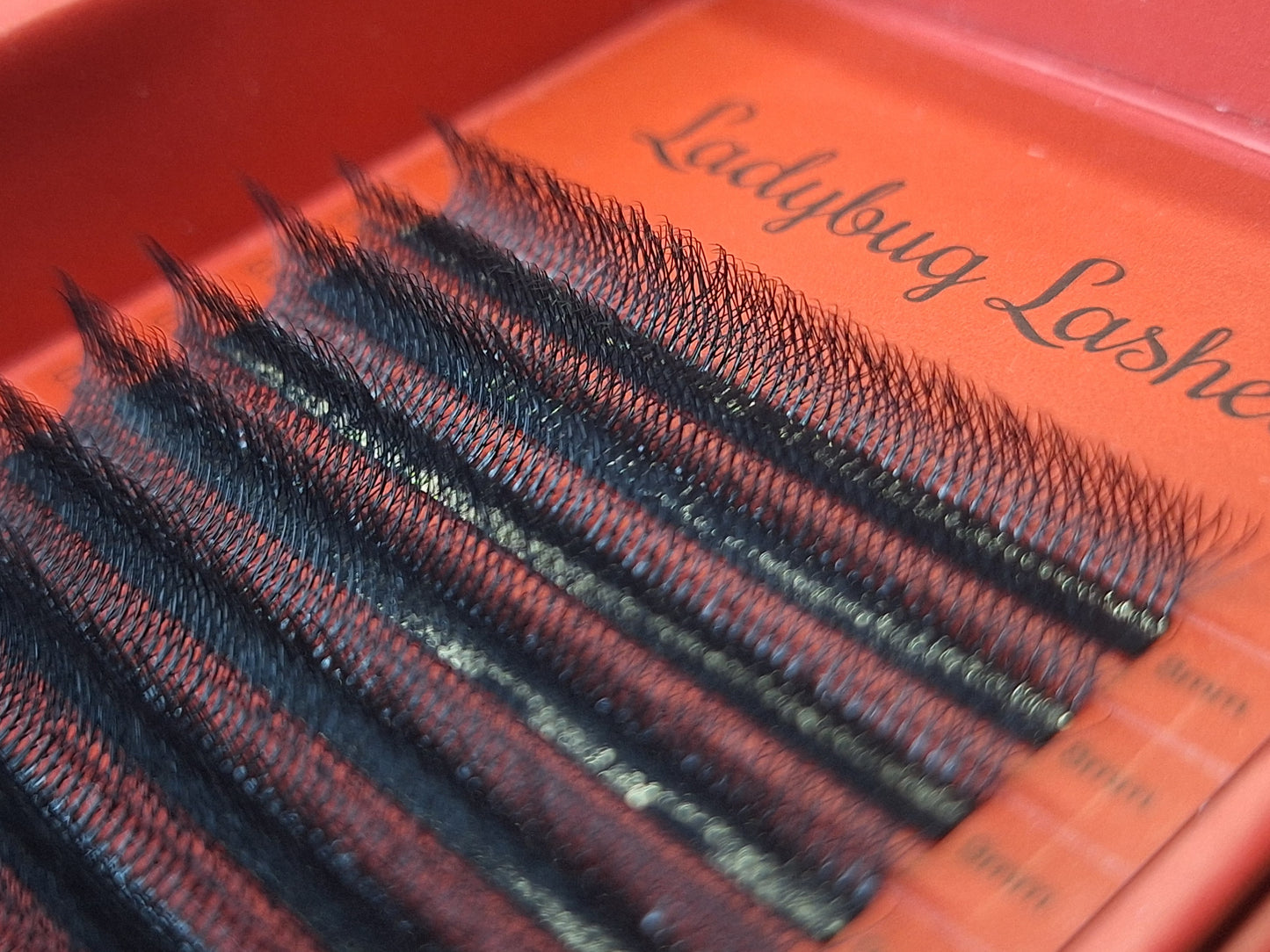 8D Clover Lashes