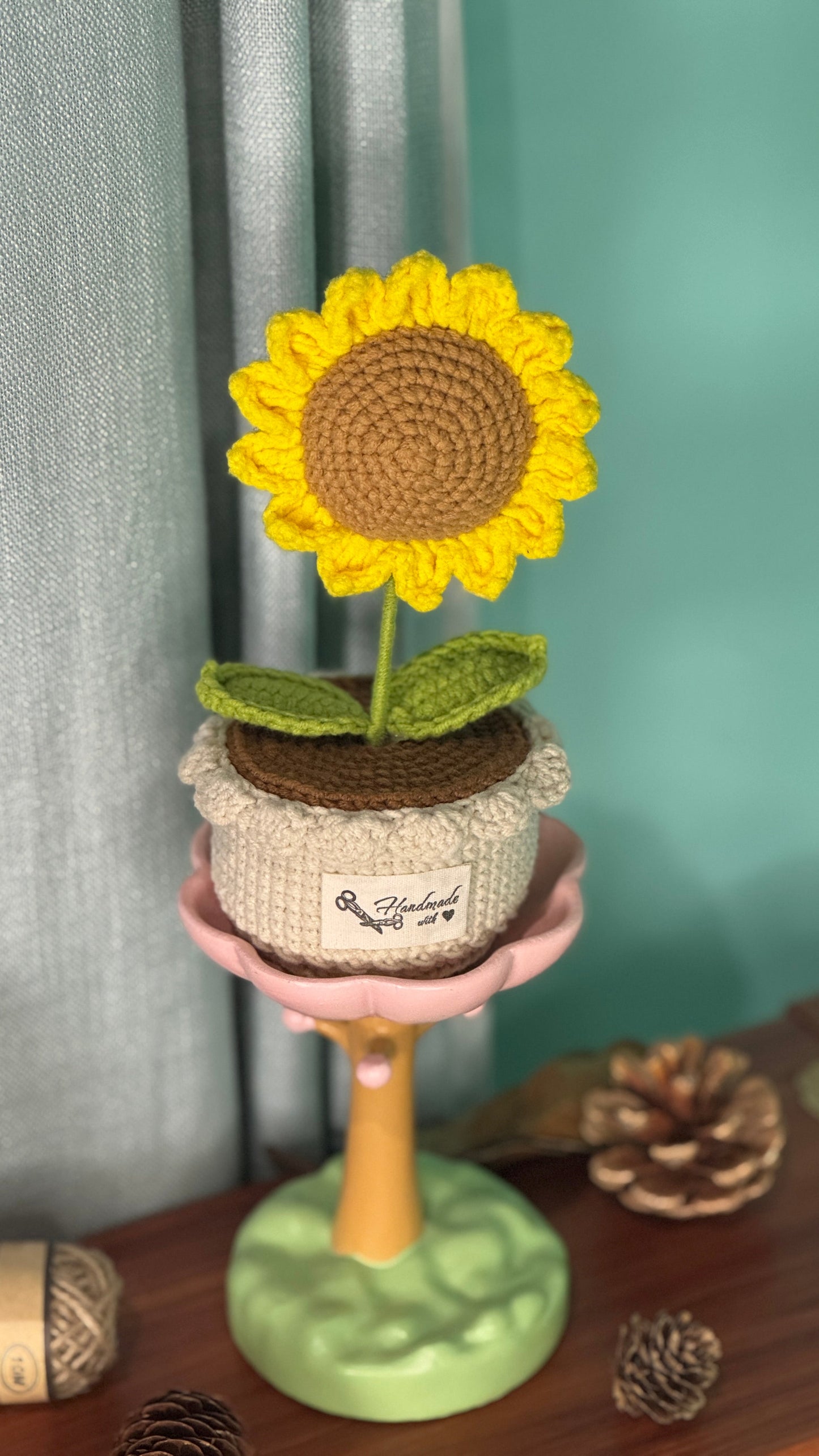 XXL Pot Plants : Larger the size, Bigger the smile