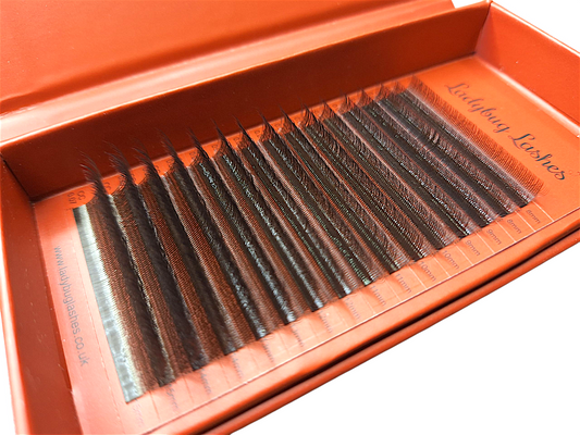 🤎Brown W Lash Tray – 16 Rows Mixed Length 🤎