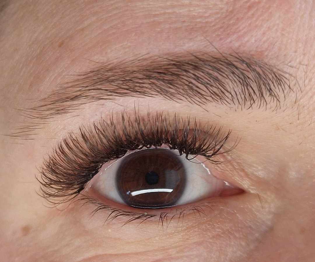 🤎 Brown Fairy Lashes – Mixed Tray 🤎
