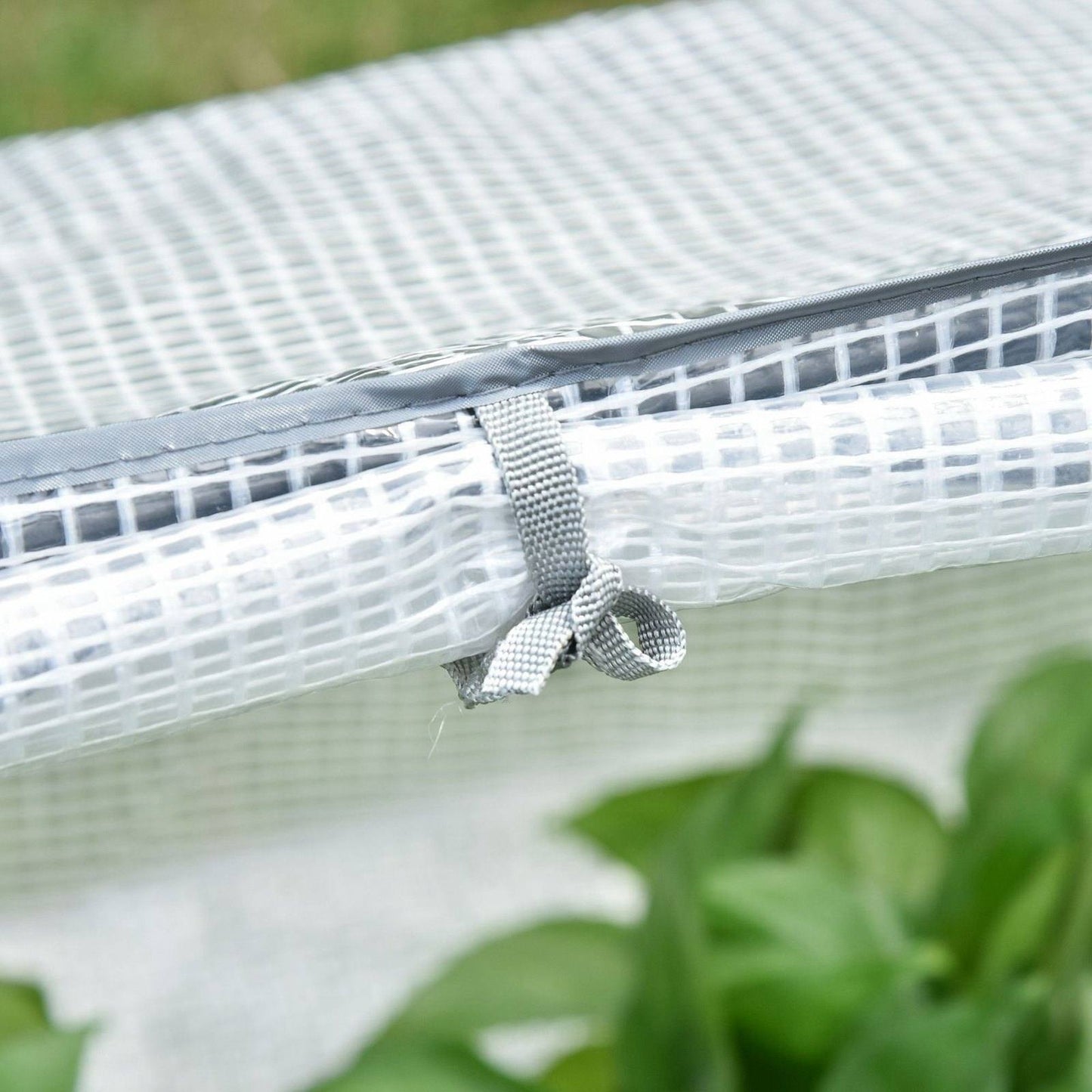 Mini Greenhouse With 2 Windows