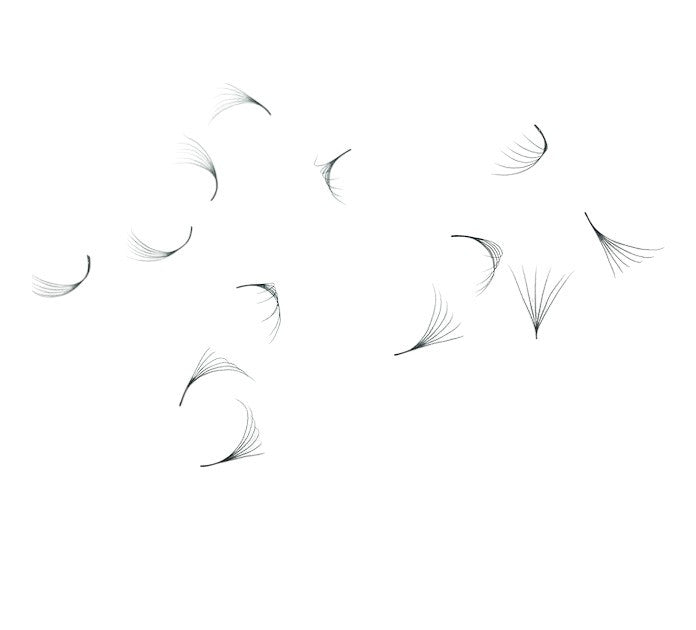 Loose Premade Fans – Mixed Box (3D–7D, C/CC/D Curl)