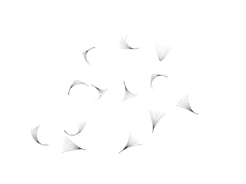 Loose Premade Fans – Mixed Box (3D–7D, C/CC/D Curl)