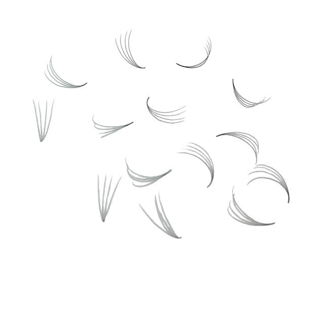 Loose Premade Fans – Mixed Box (3D–7D, C/CC/D Curl)