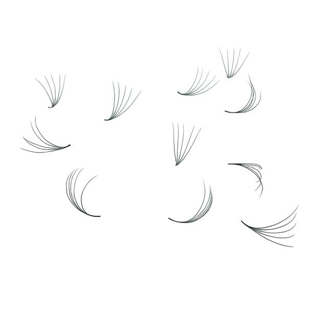 Loose Premade Fans – Mixed Box (3D–7D, C/CC/D Curl)