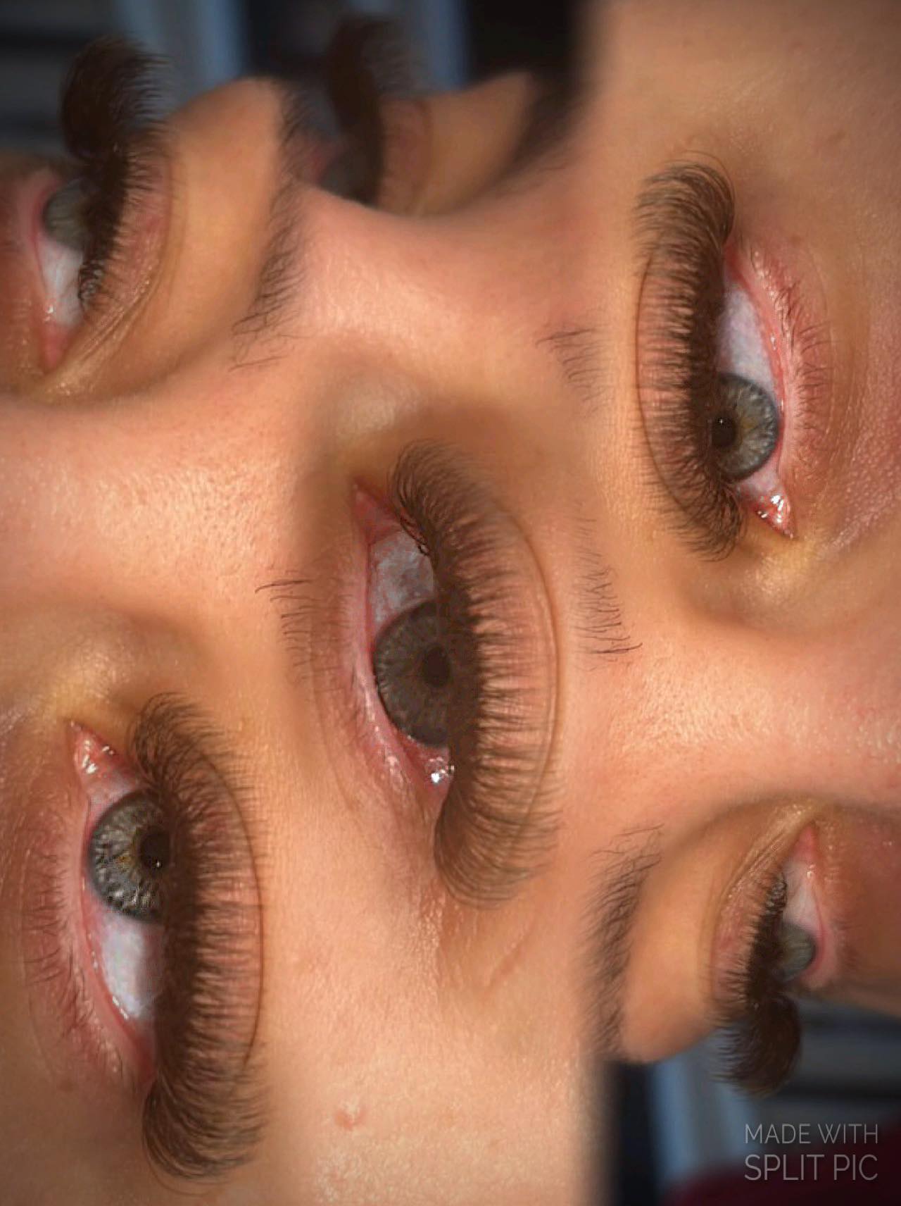 🤎 Brown 4D Clover Lashes 🤎 16 Rows • Single Length