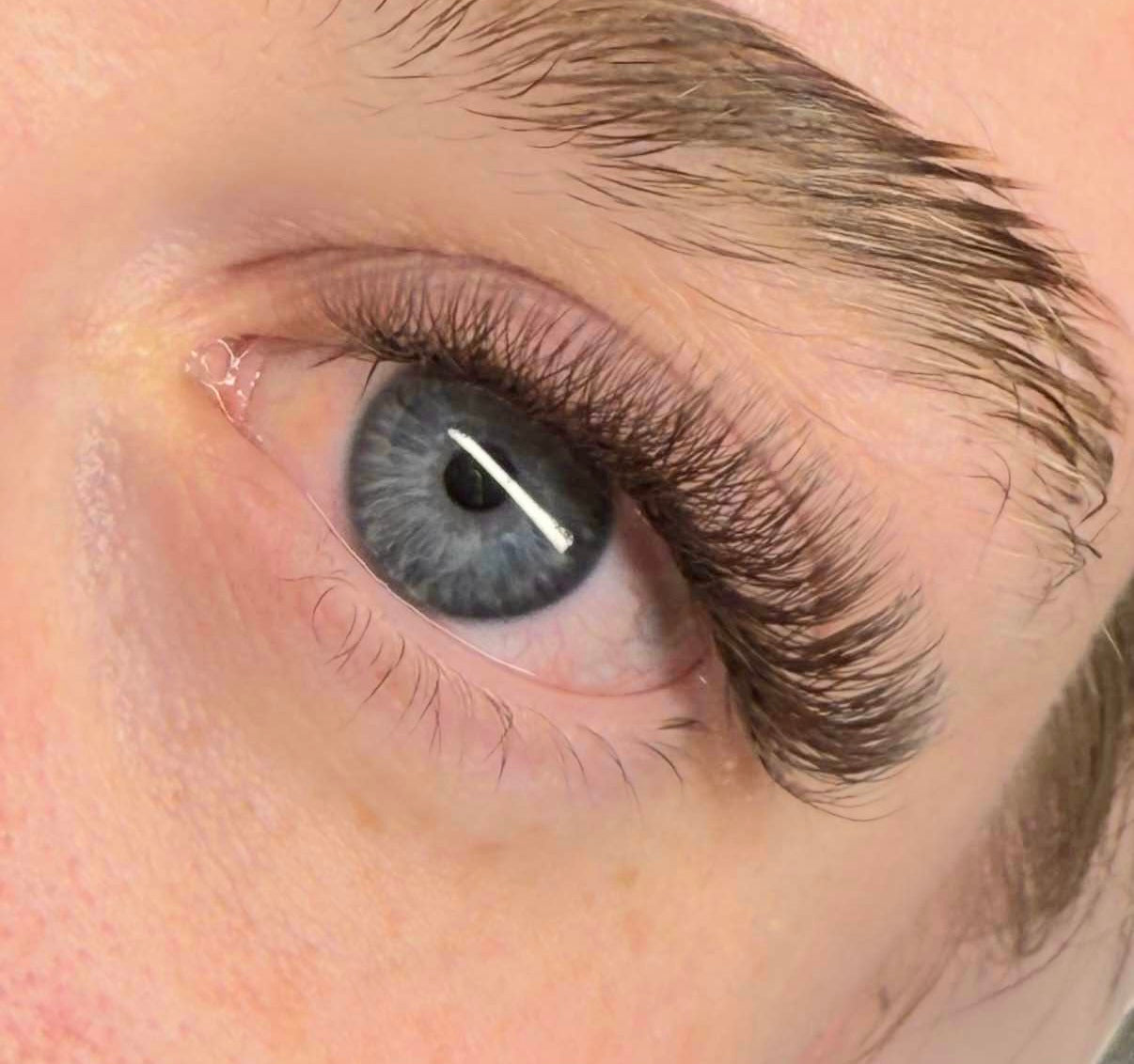 🤎 Brown 6D Clover Lash Extensions – Mixed Lengths, 16 Rows 🤎