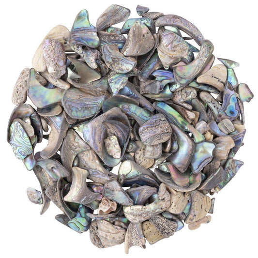 Abalone Shell Tumbled, Unsized