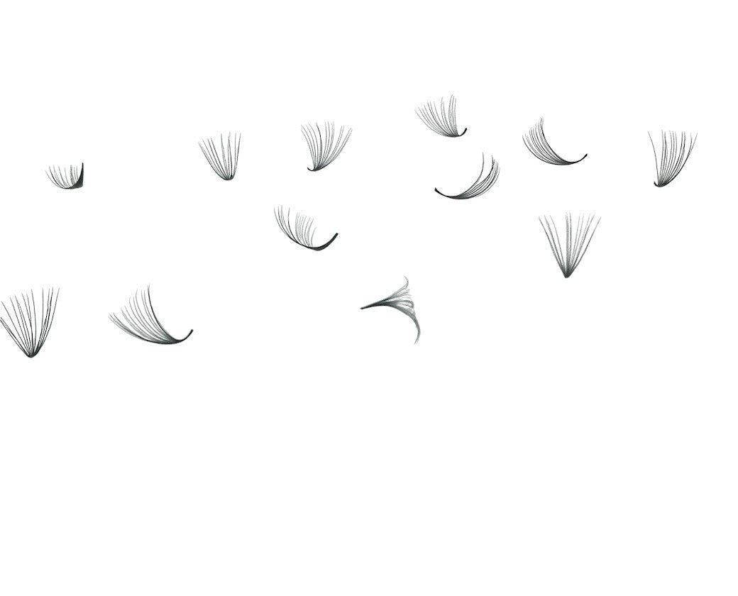 Loose Individual D Curl Promades – 8D to 20D Lash Extensions