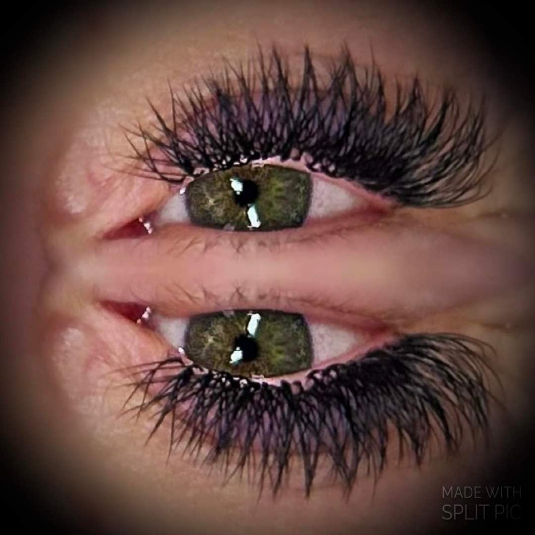 W Lashes Mixed Tray (16 Rows)