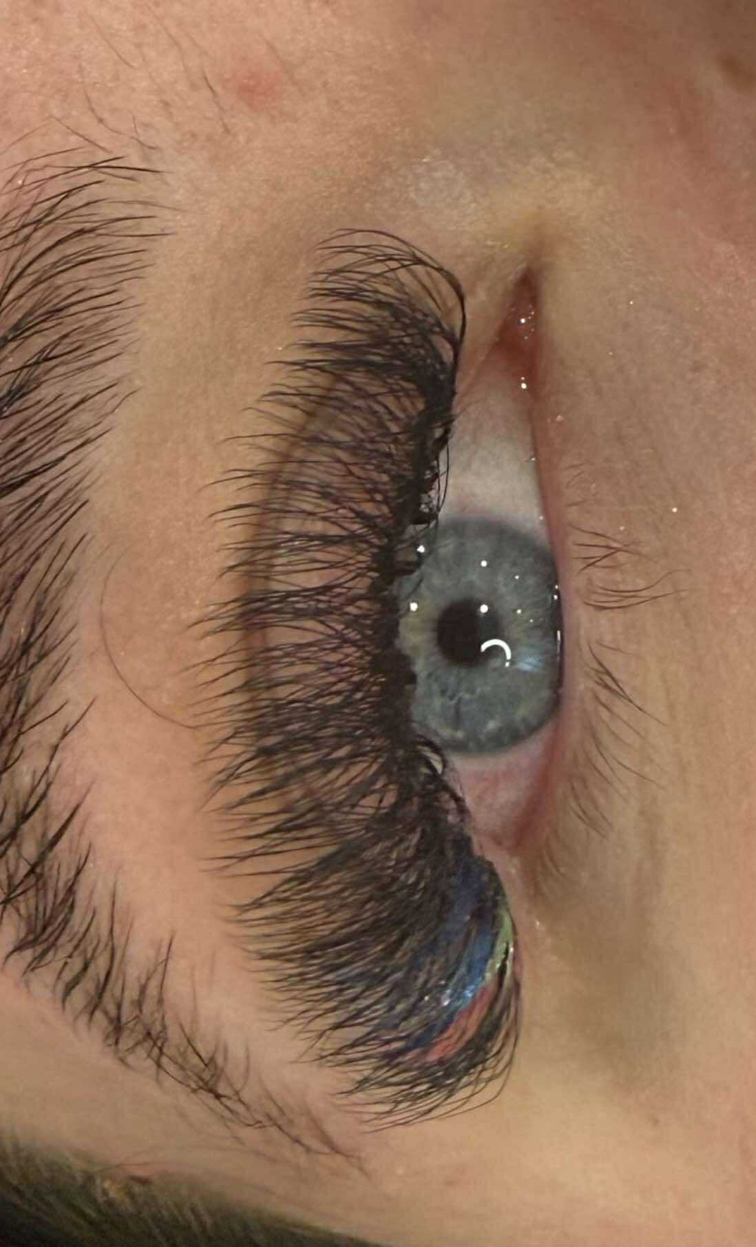 8D Clover Lashes