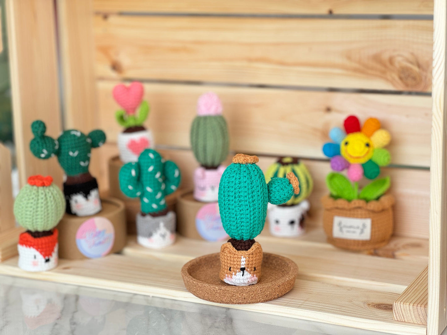 NEW members join Cactus Family!