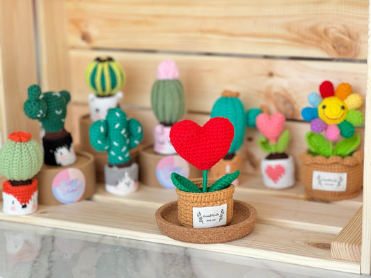 Flower Pots Collection – Everlasting Blooms