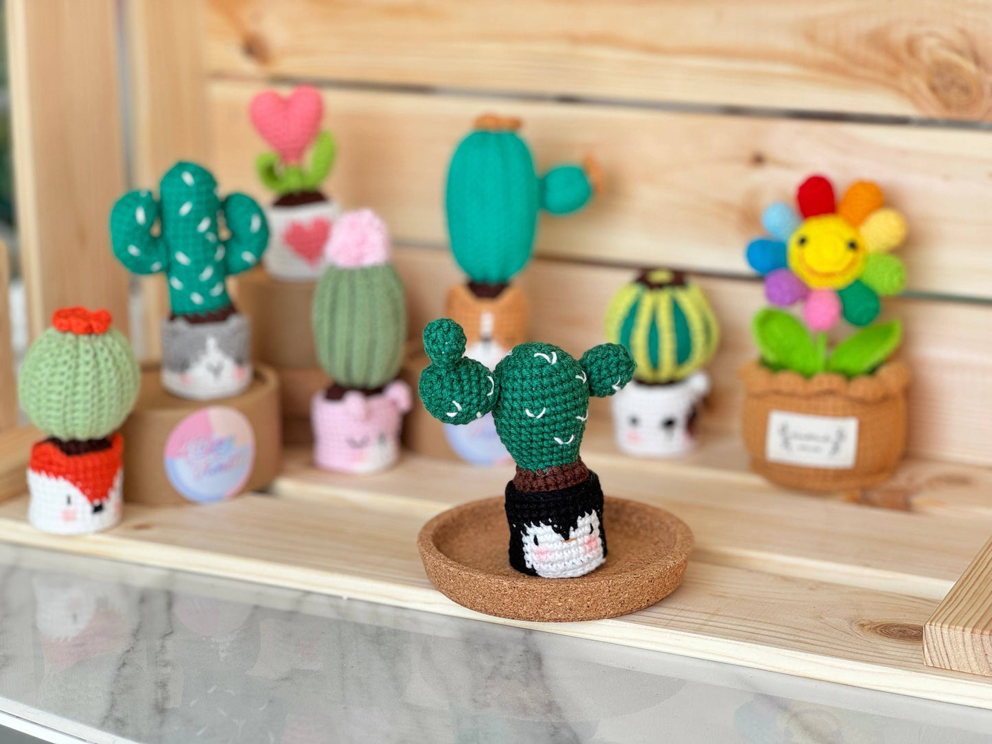 NEW members join Cactus Family!