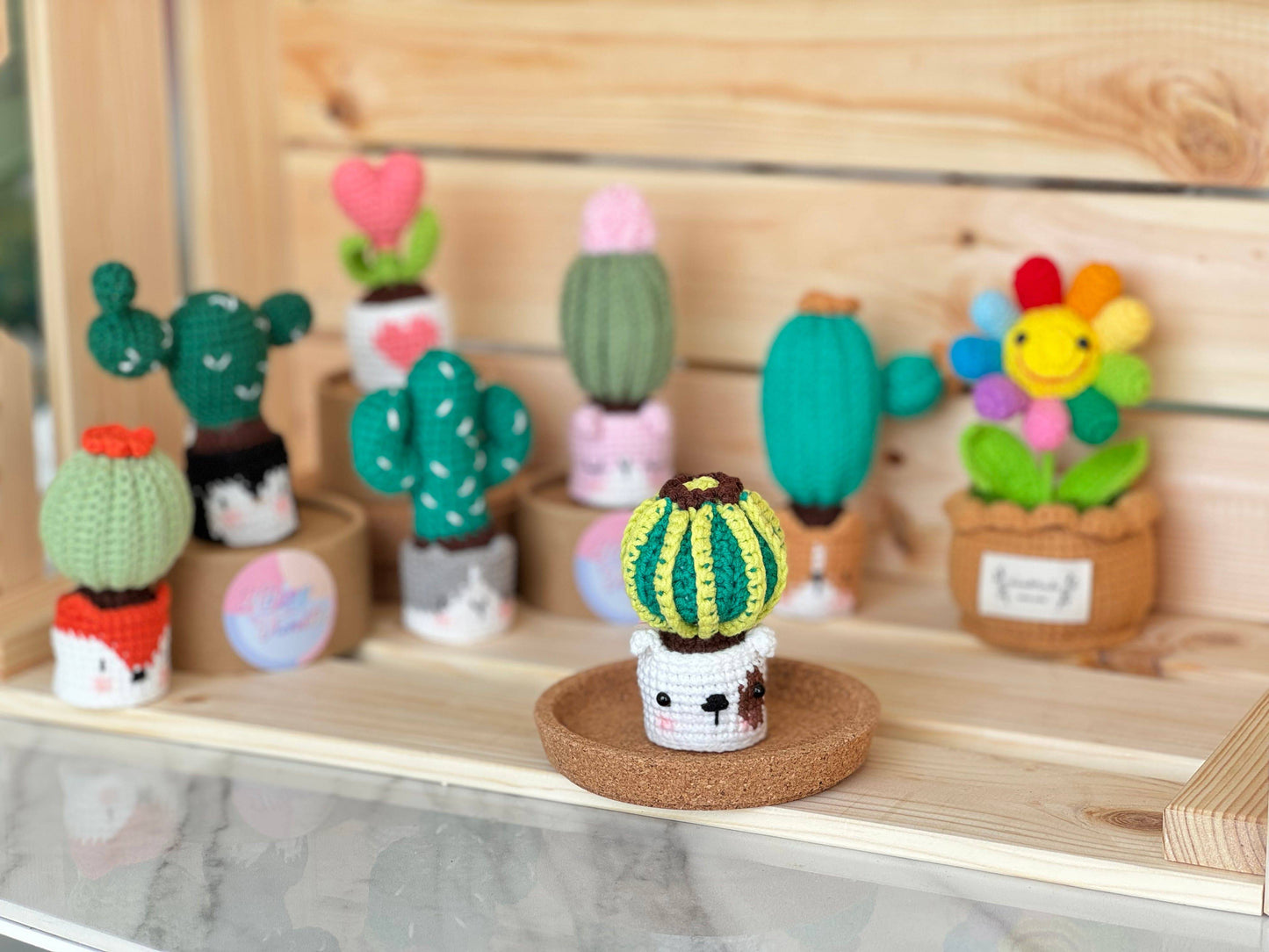 NEW members join Cactus Family!