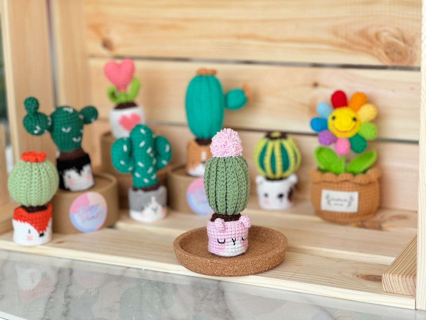 NEW members join Cactus Family!