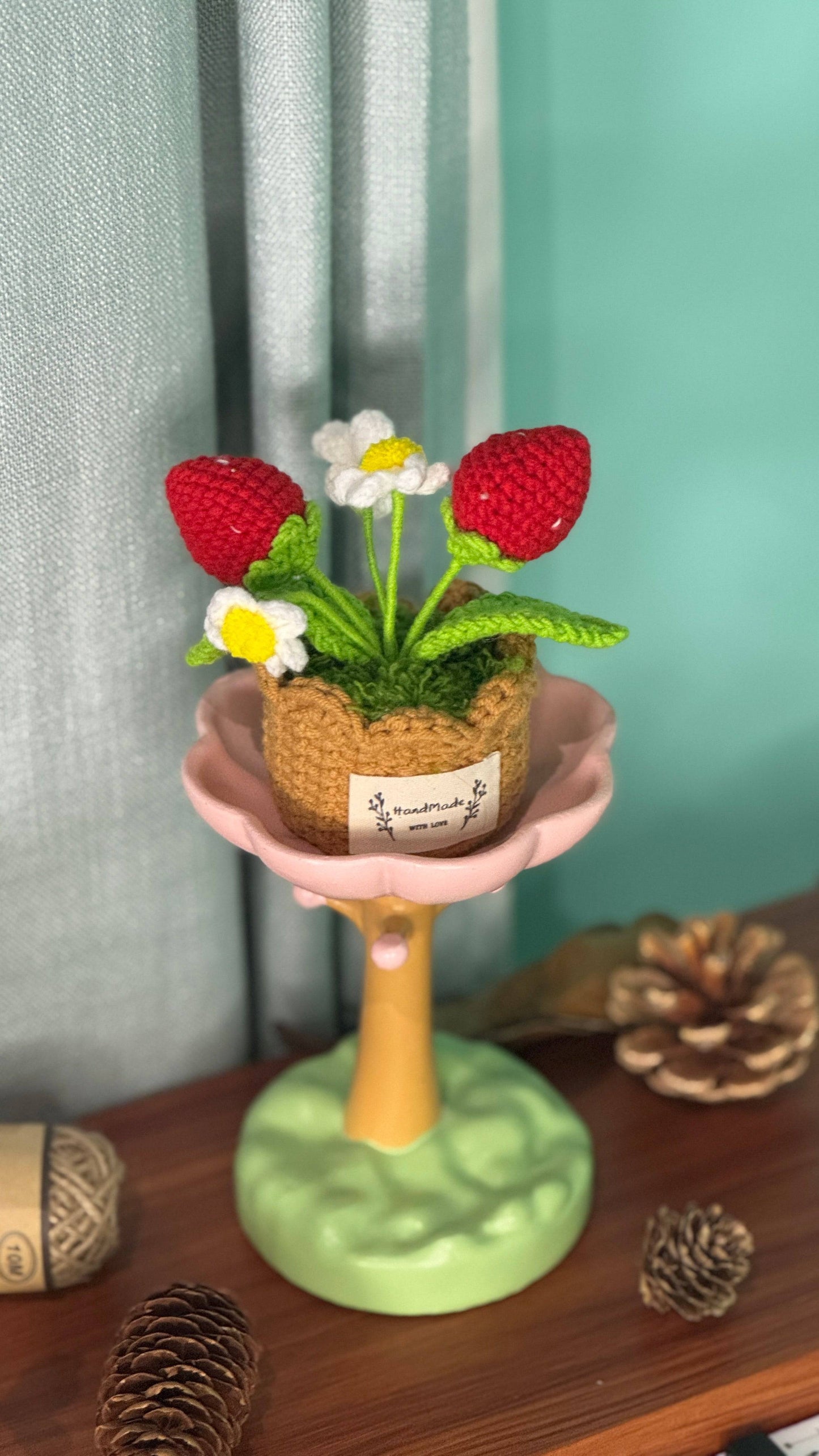 XXL Pot Plants : Larger the size, Bigger the smile