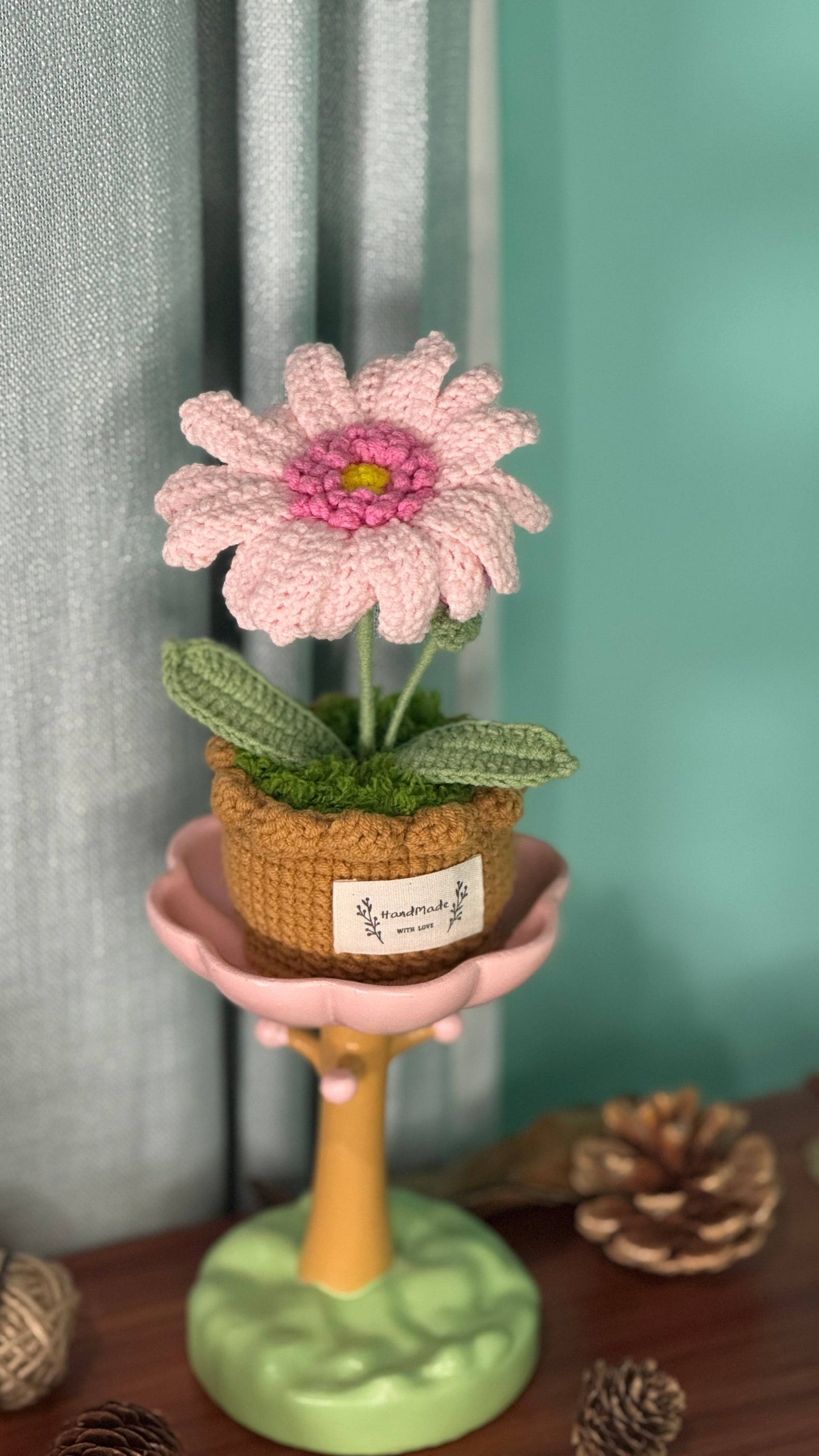 XXL Pot Plants : Larger the size, Bigger the smile