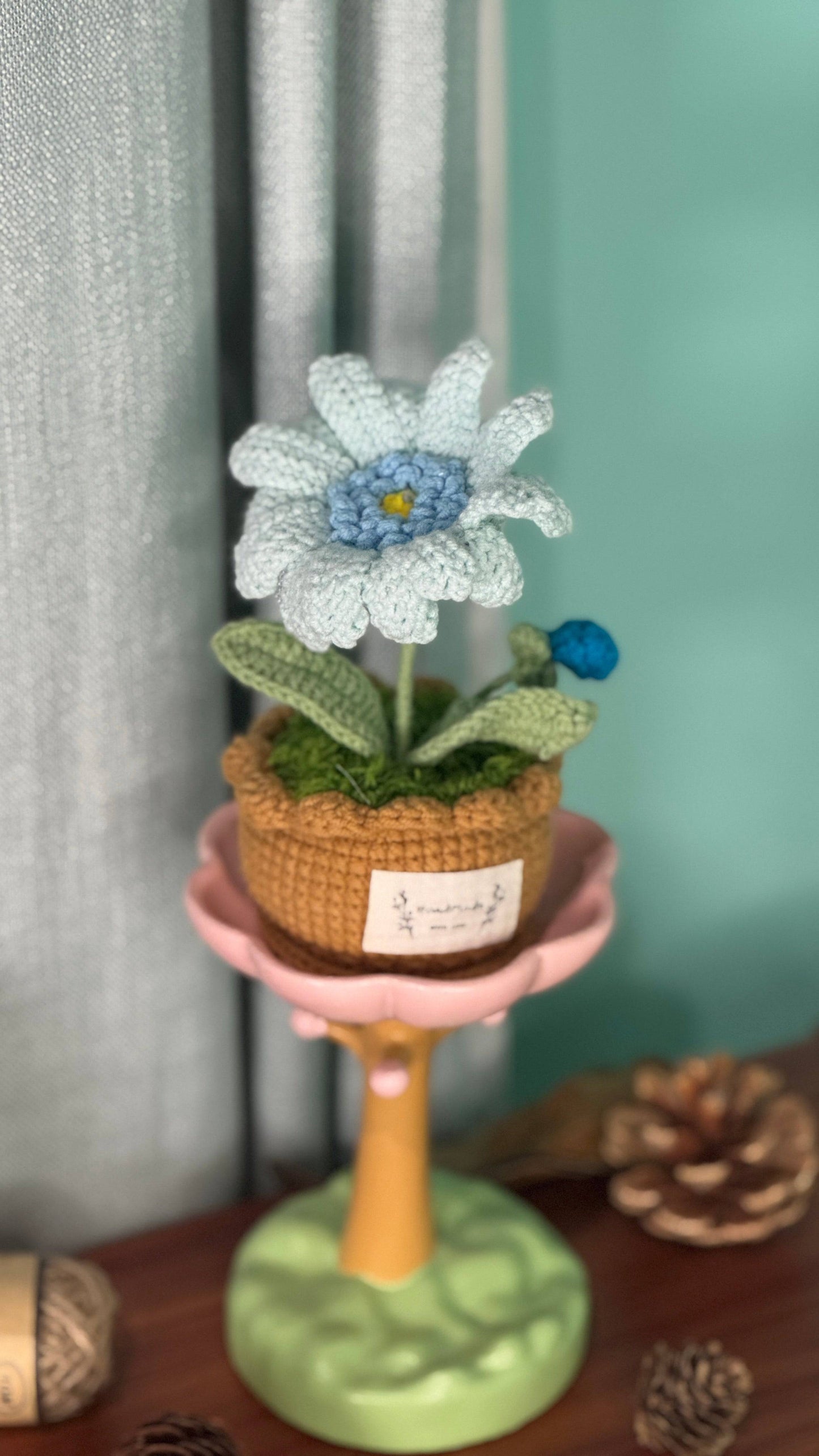 XXL Pot Plants : Larger the size, Bigger the smile
