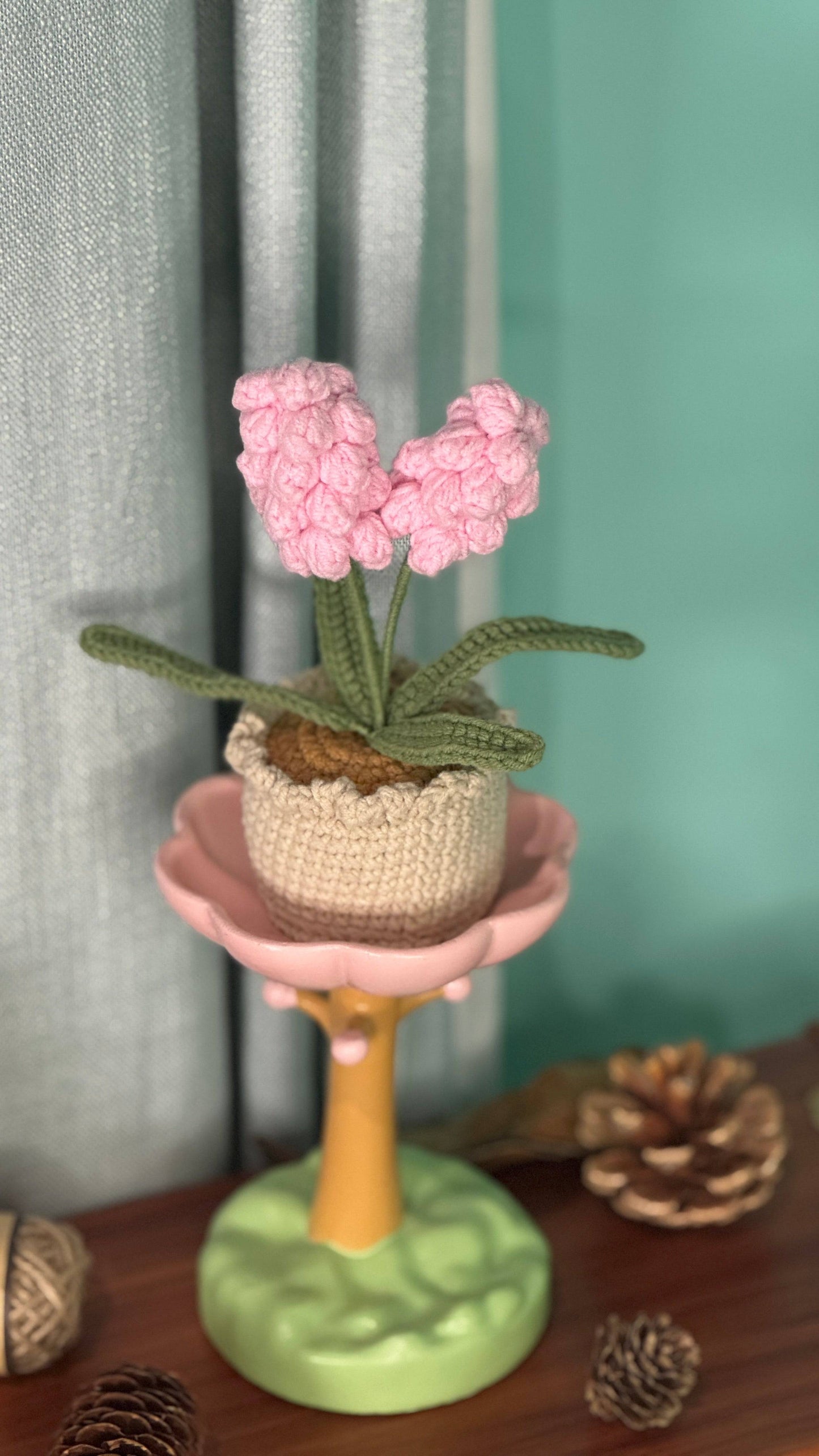 XXL Pot Plants : Larger the size, Bigger the smile